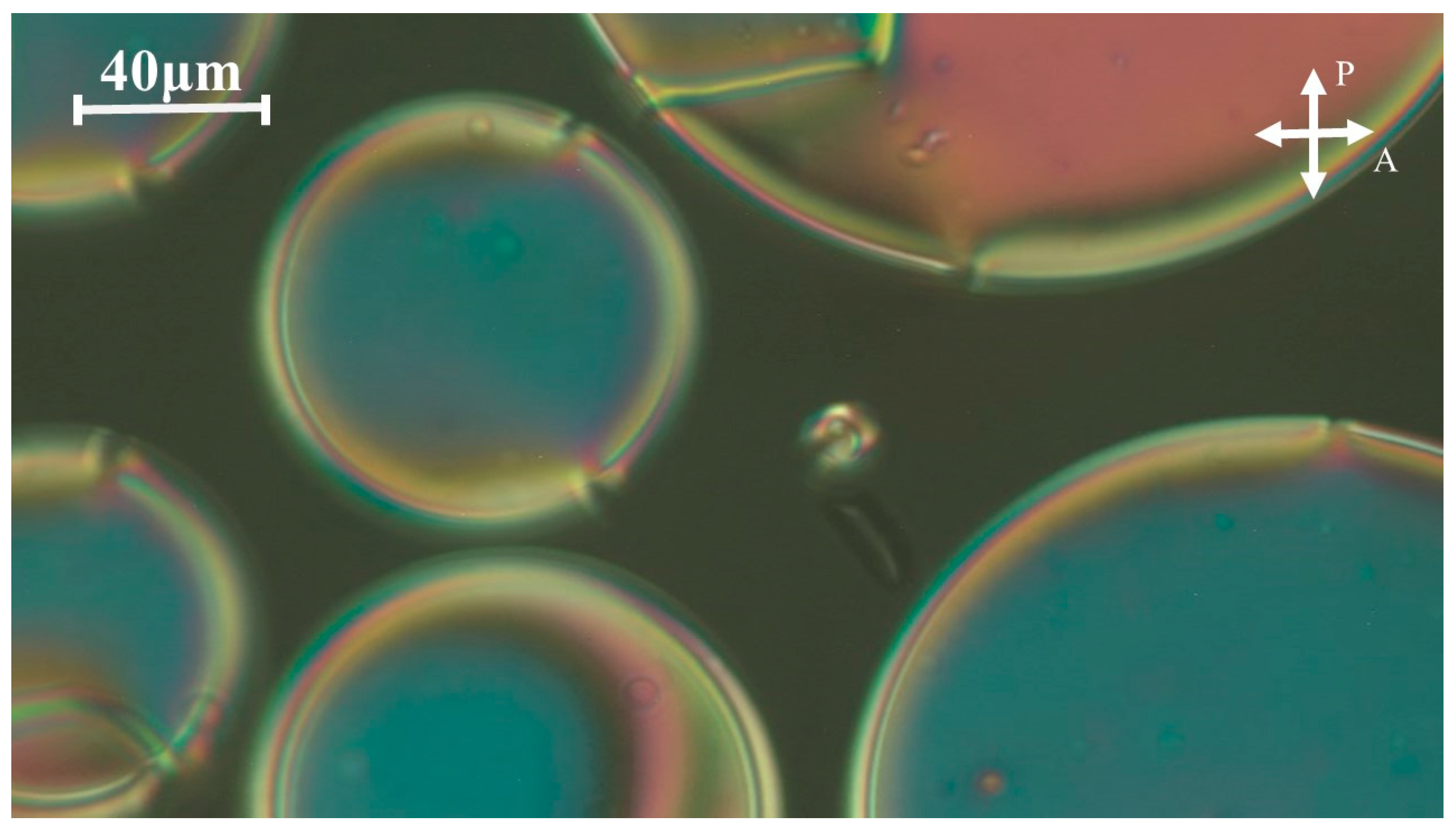 Molecules 29 03422 g011