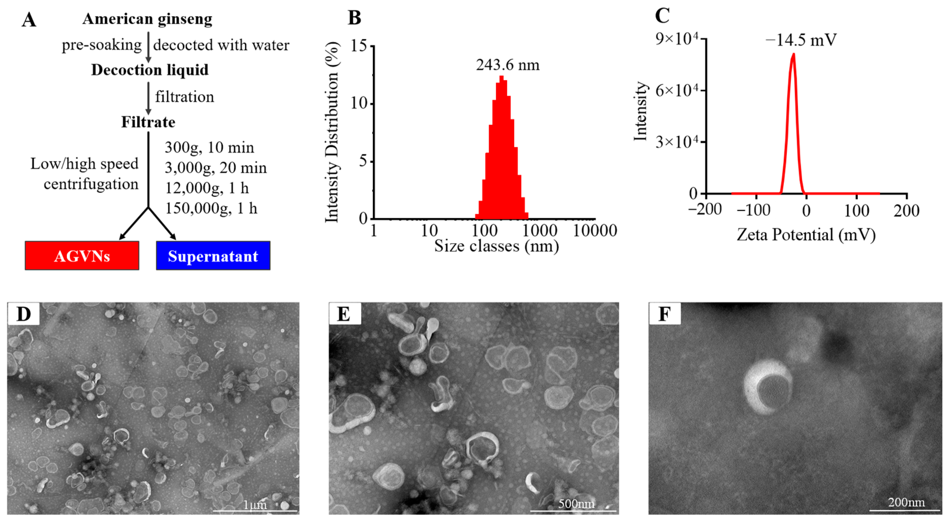 Molecules 29 03443 g001