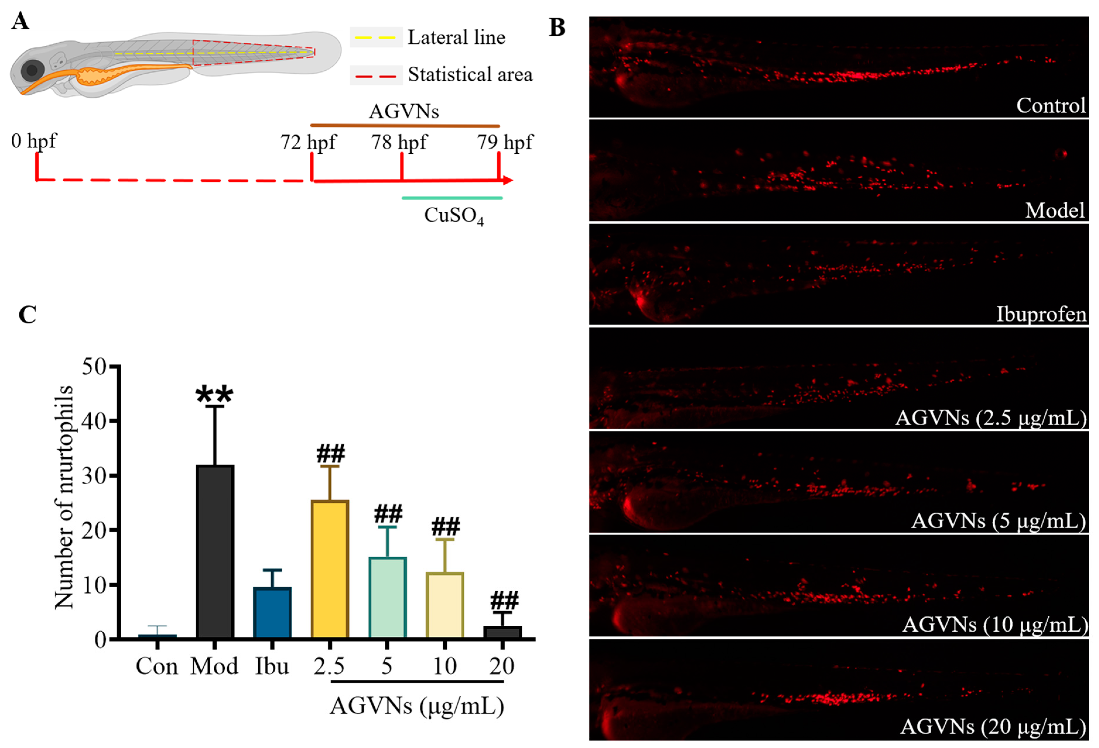 Molecules 29 03443 g007