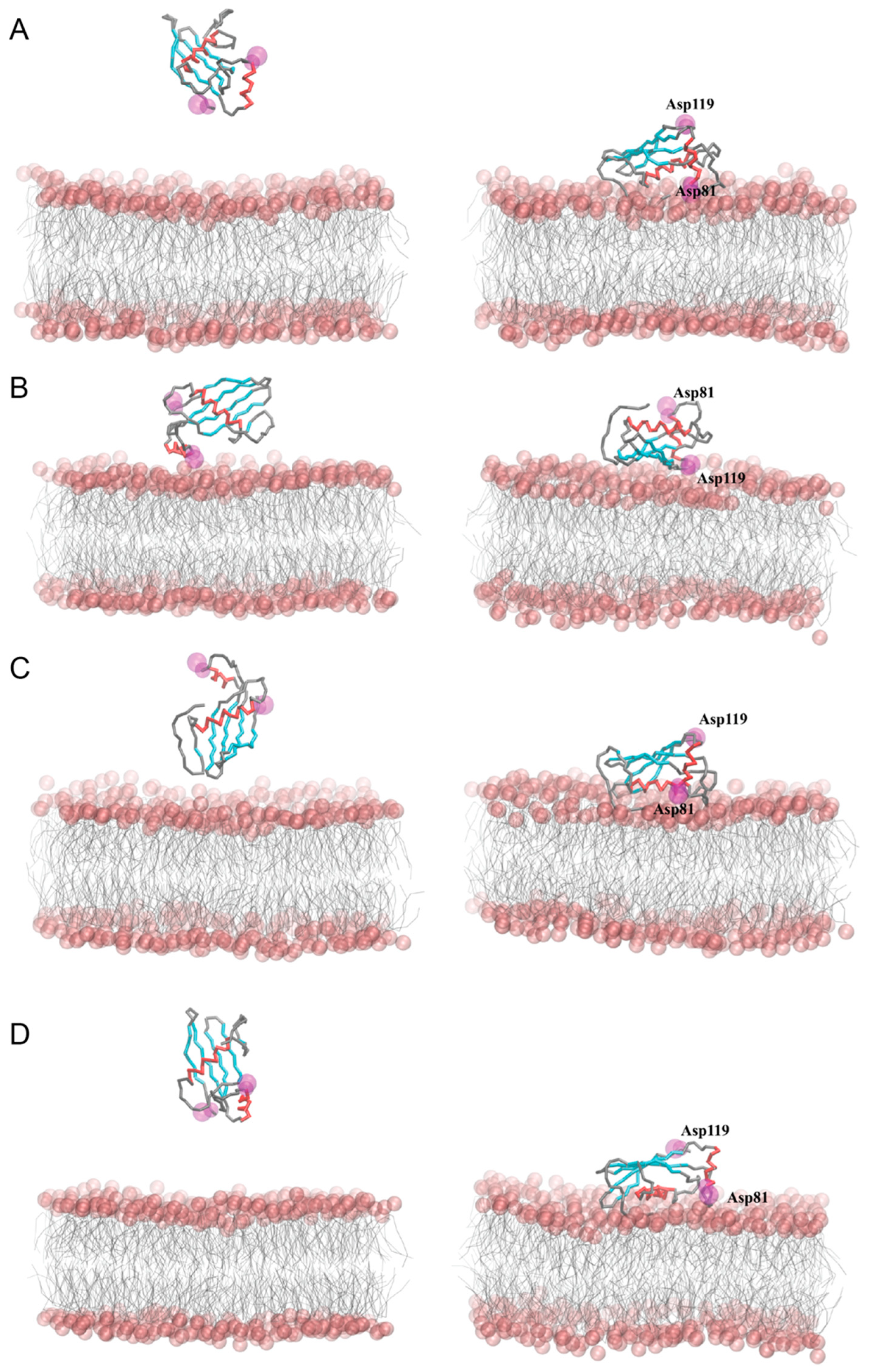 Molecules 29 03446 g006