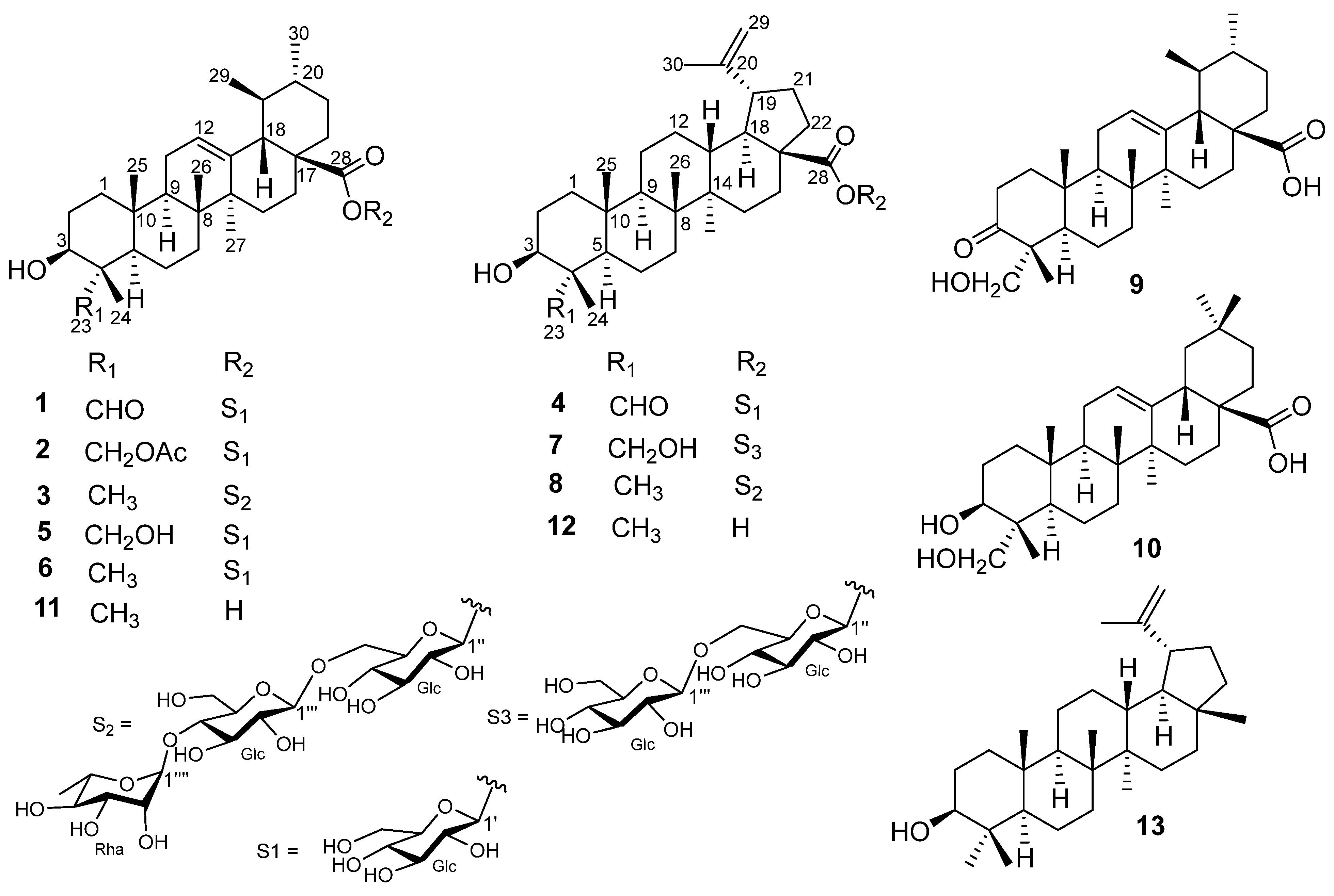 Molecules 29 03447 g001