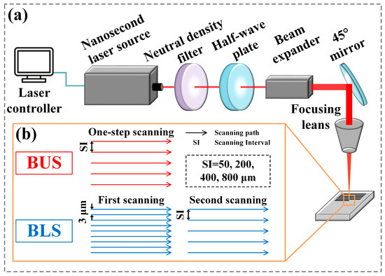 Investigation and Analysis of Wettability, Anisotropy, and
