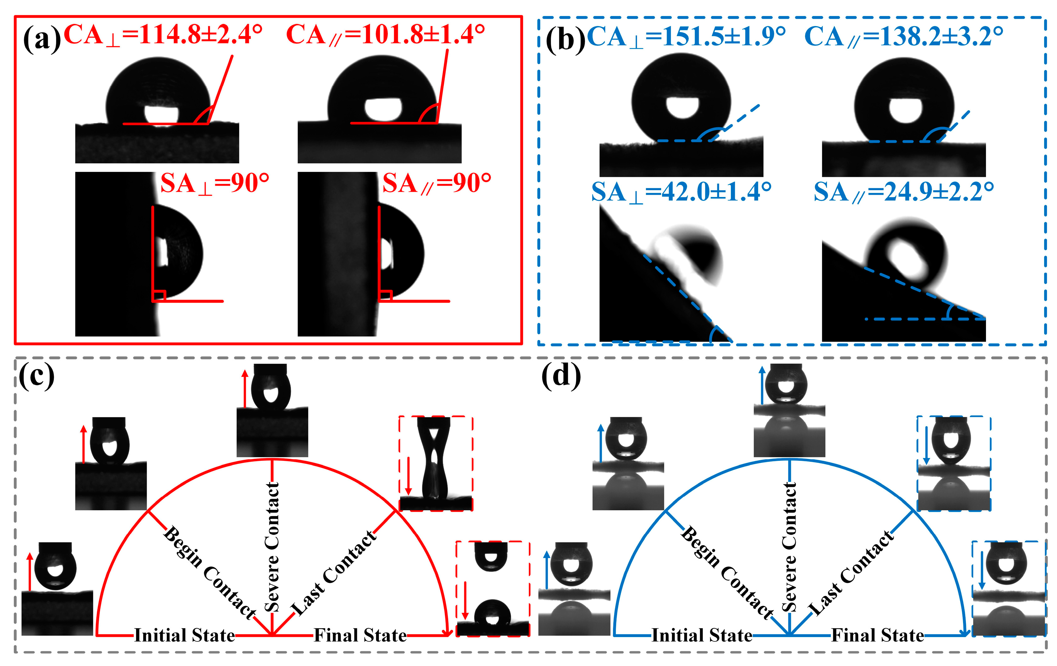 Molecules 29 03449 g003