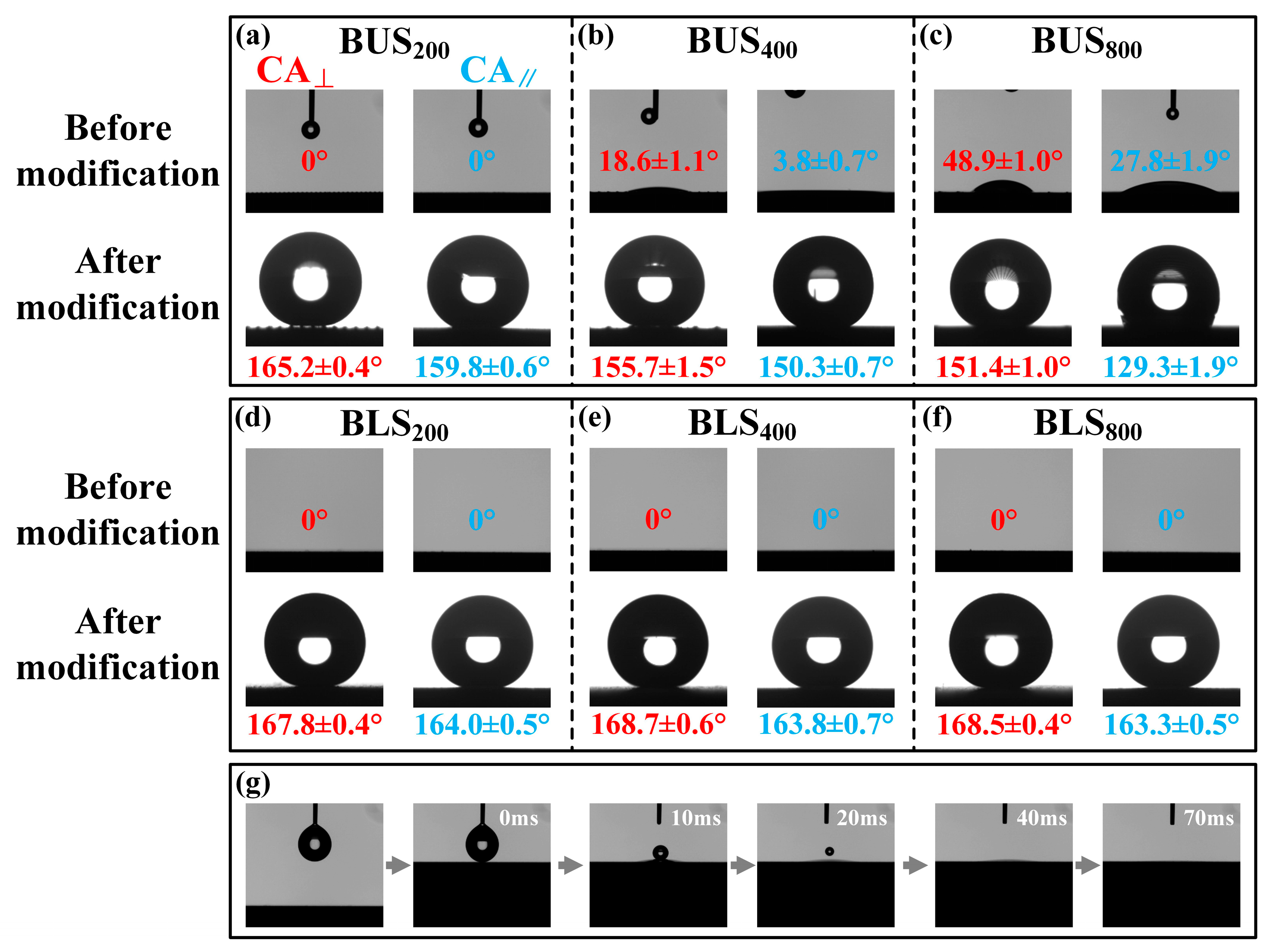 Molecules 29 03449 g007