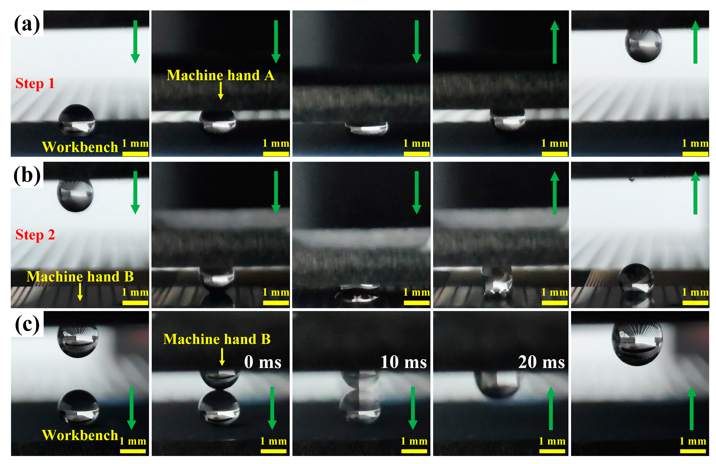 Molecules 29 03449 g011