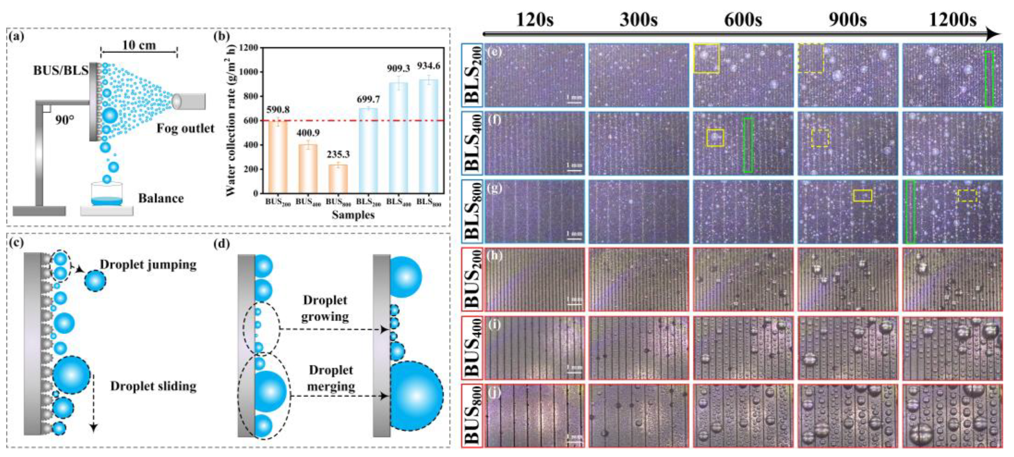 Molecules 29 03449 g012
