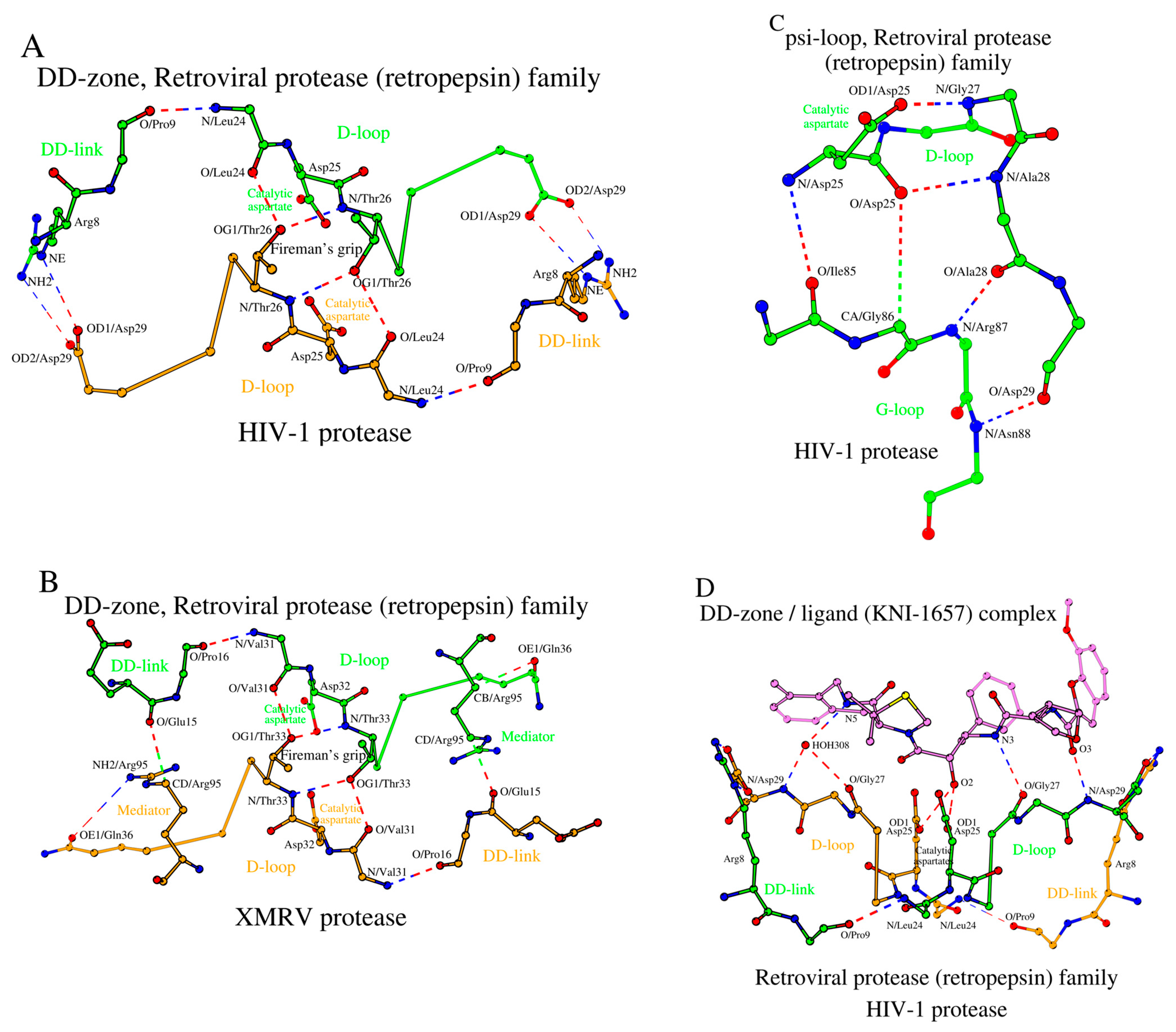Molecules 29 03451 g004