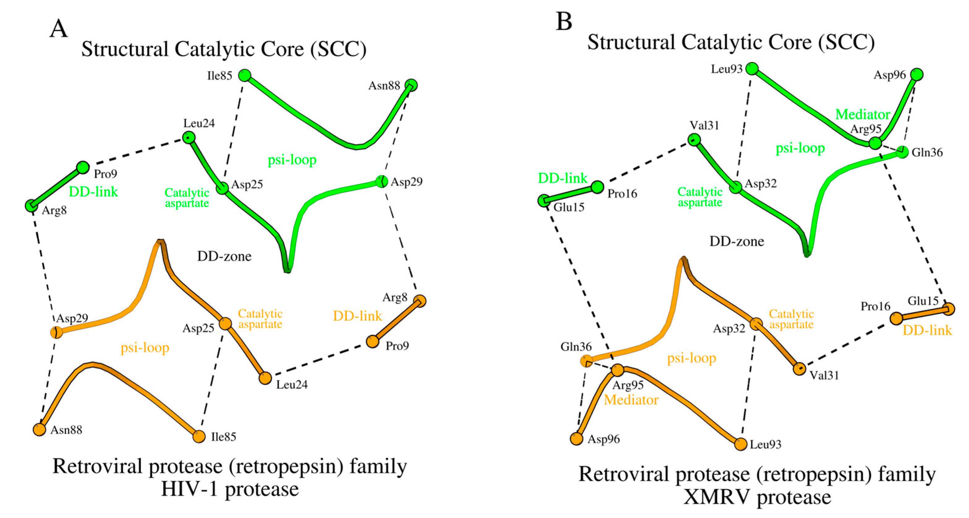 Molecules 29 03451 g005