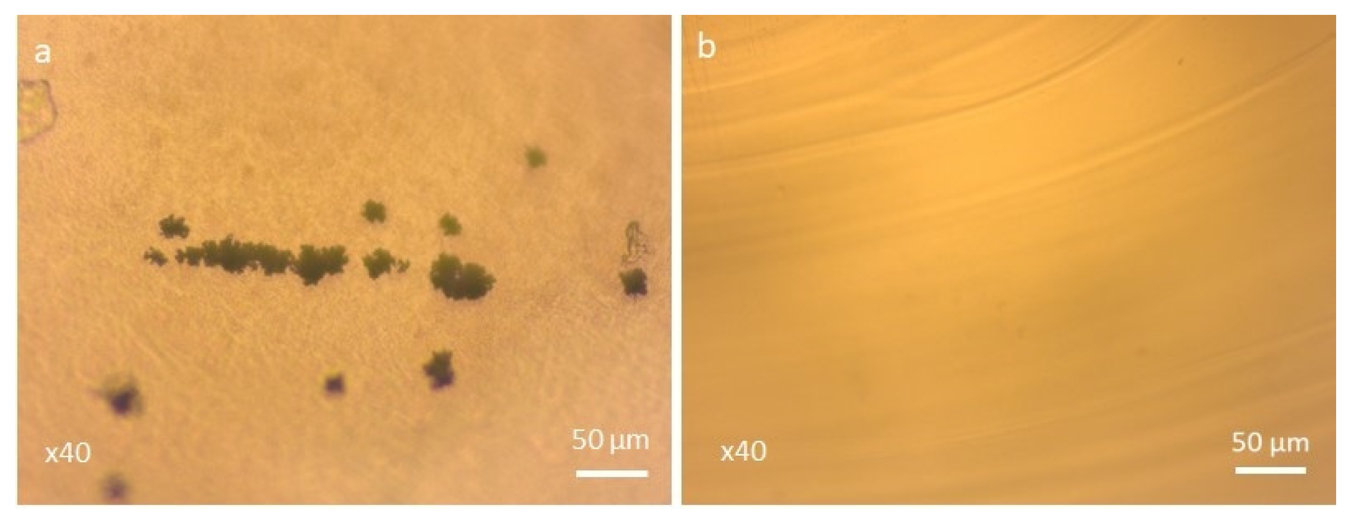 Molecules 29 03452 g006