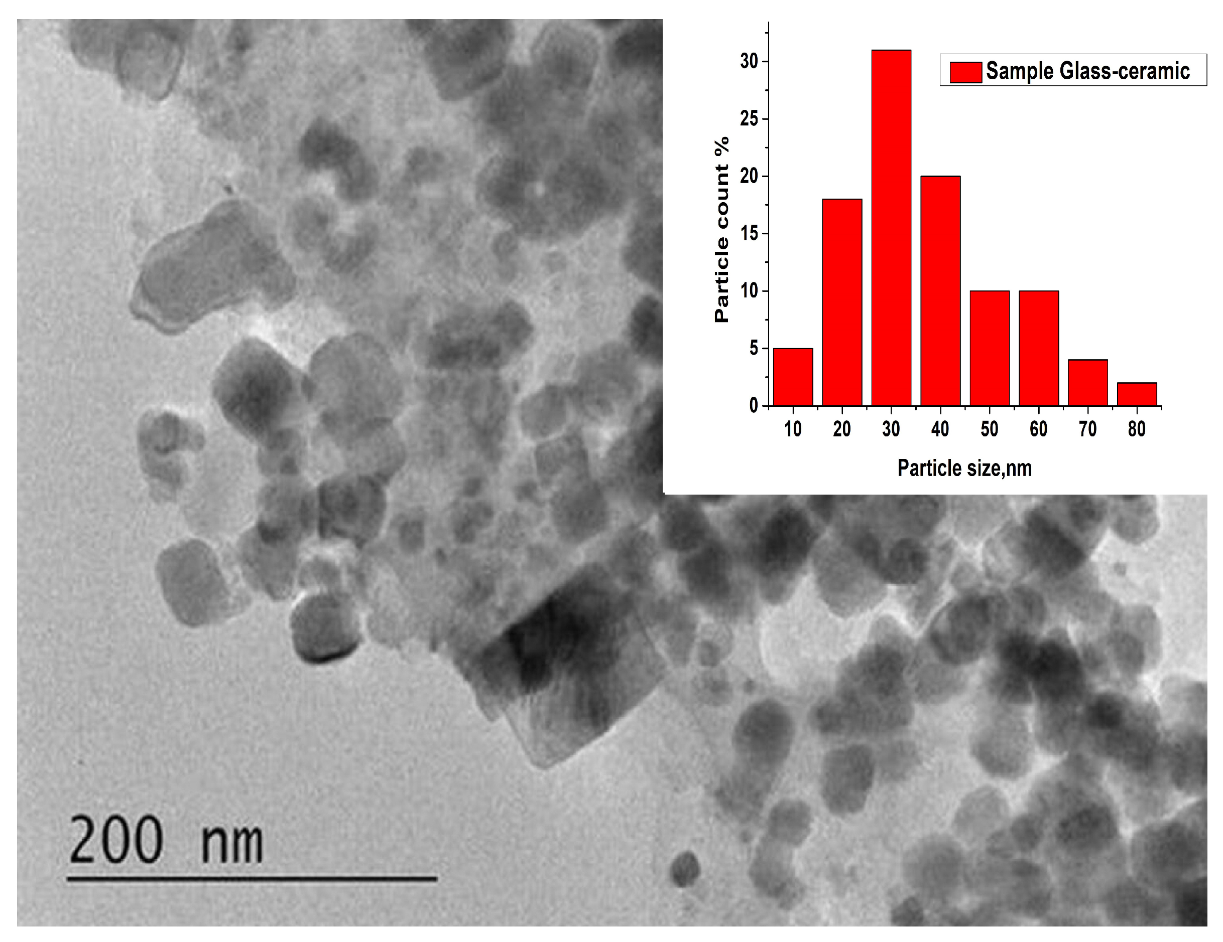 Molecules 29 03452 g011