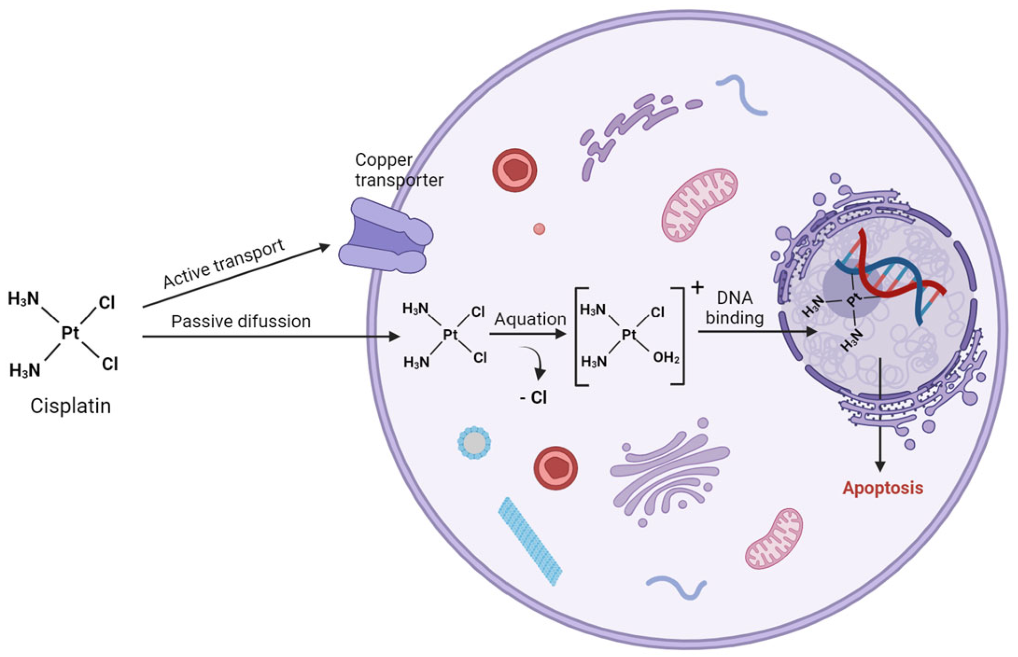 Molecules 29 03453 g001 Molecules 29 03453 g001