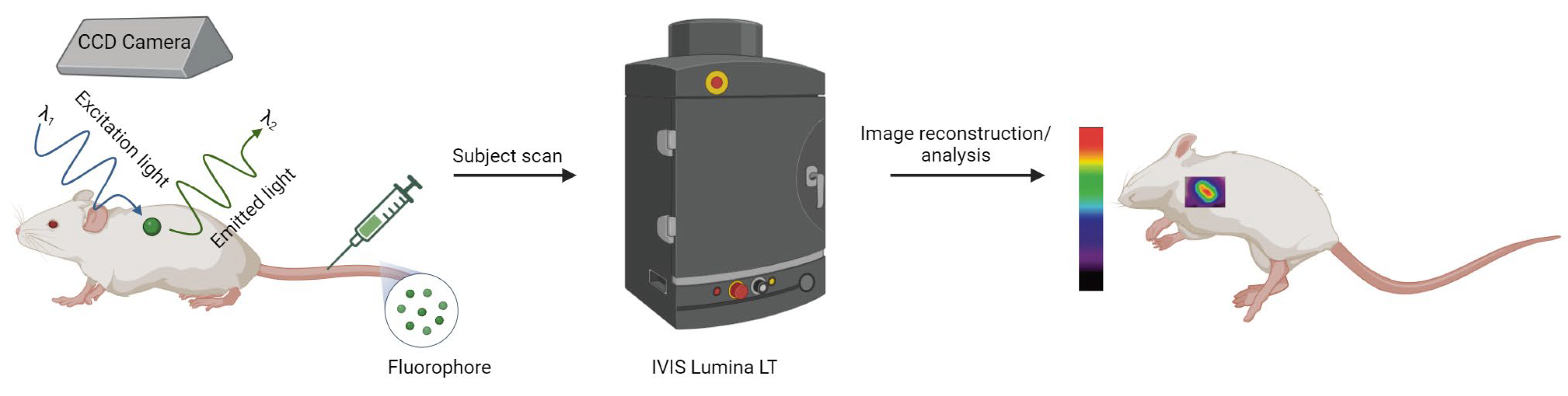 Molecules 29 03453 g004 Molecules 29 03453 g004