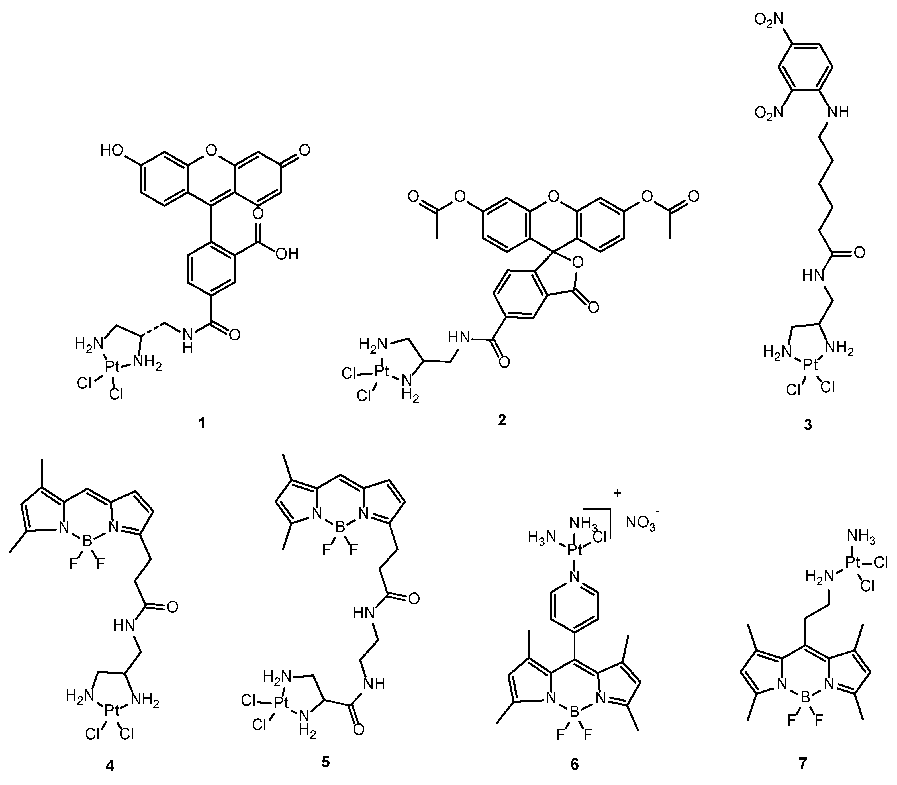 Molecules 29 03453 g005 Molecules 29 03453 g005