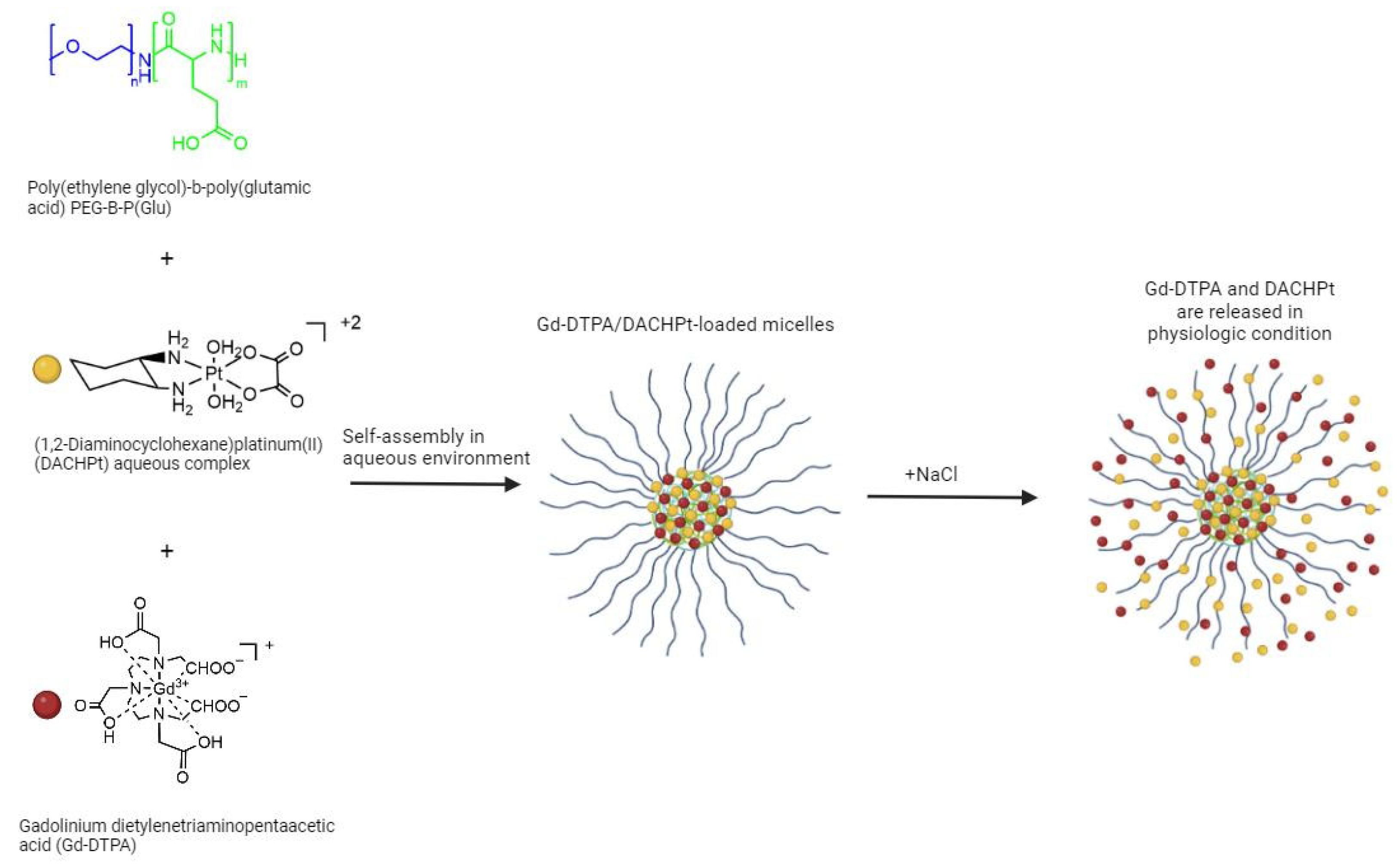 Molecules 29 03453 g021 Molecules 29 03453 g021