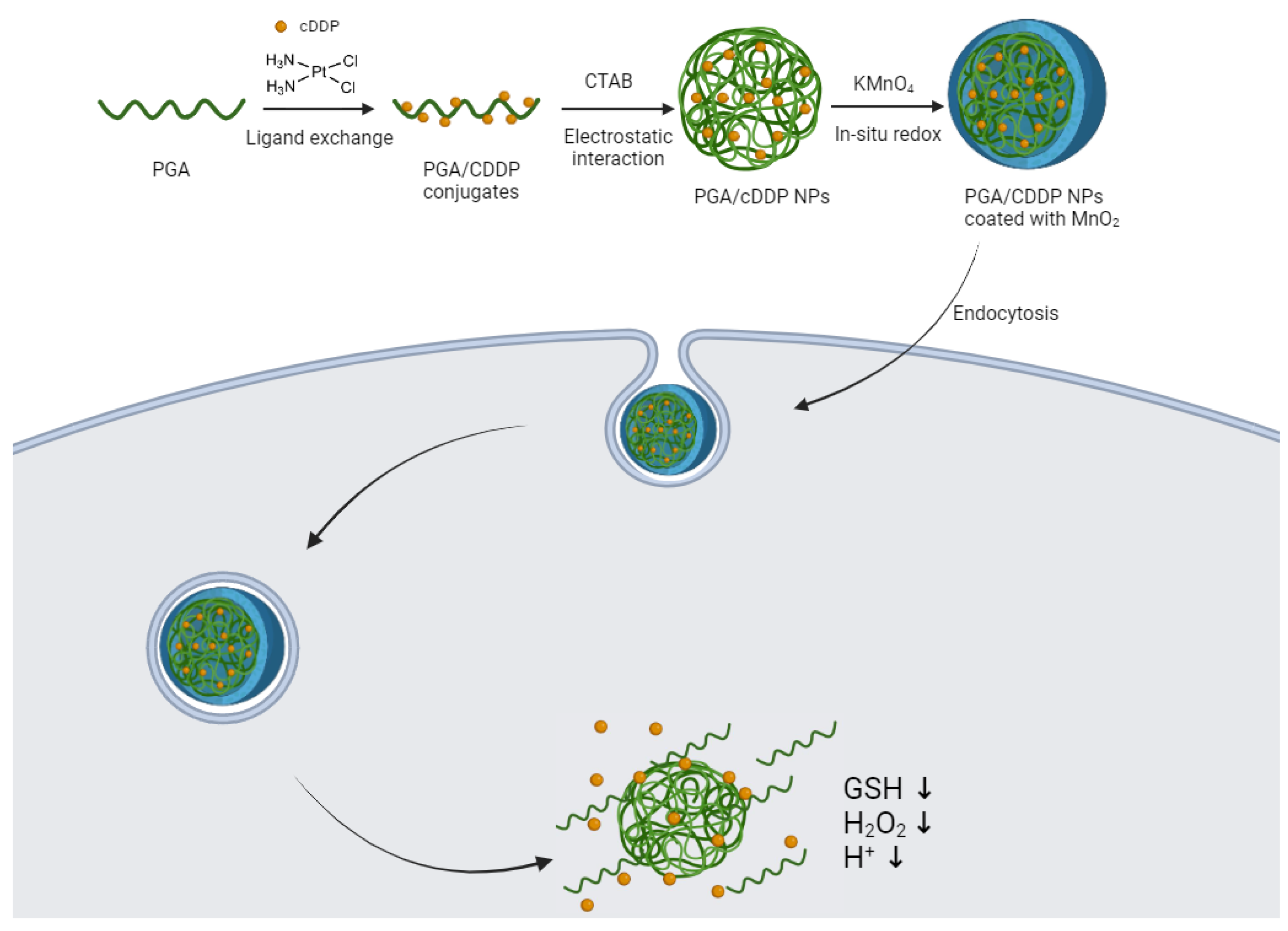 Molecules 29 03453 g024 Molecules 29 03453 g024