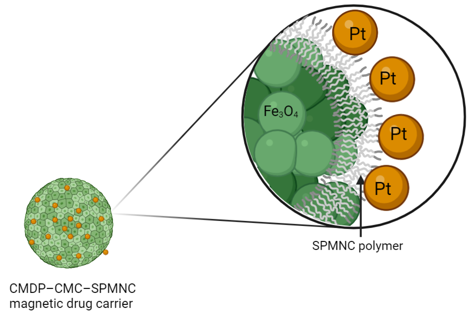 Molecules 29 03453 g025 Molecules 29 03453 g025