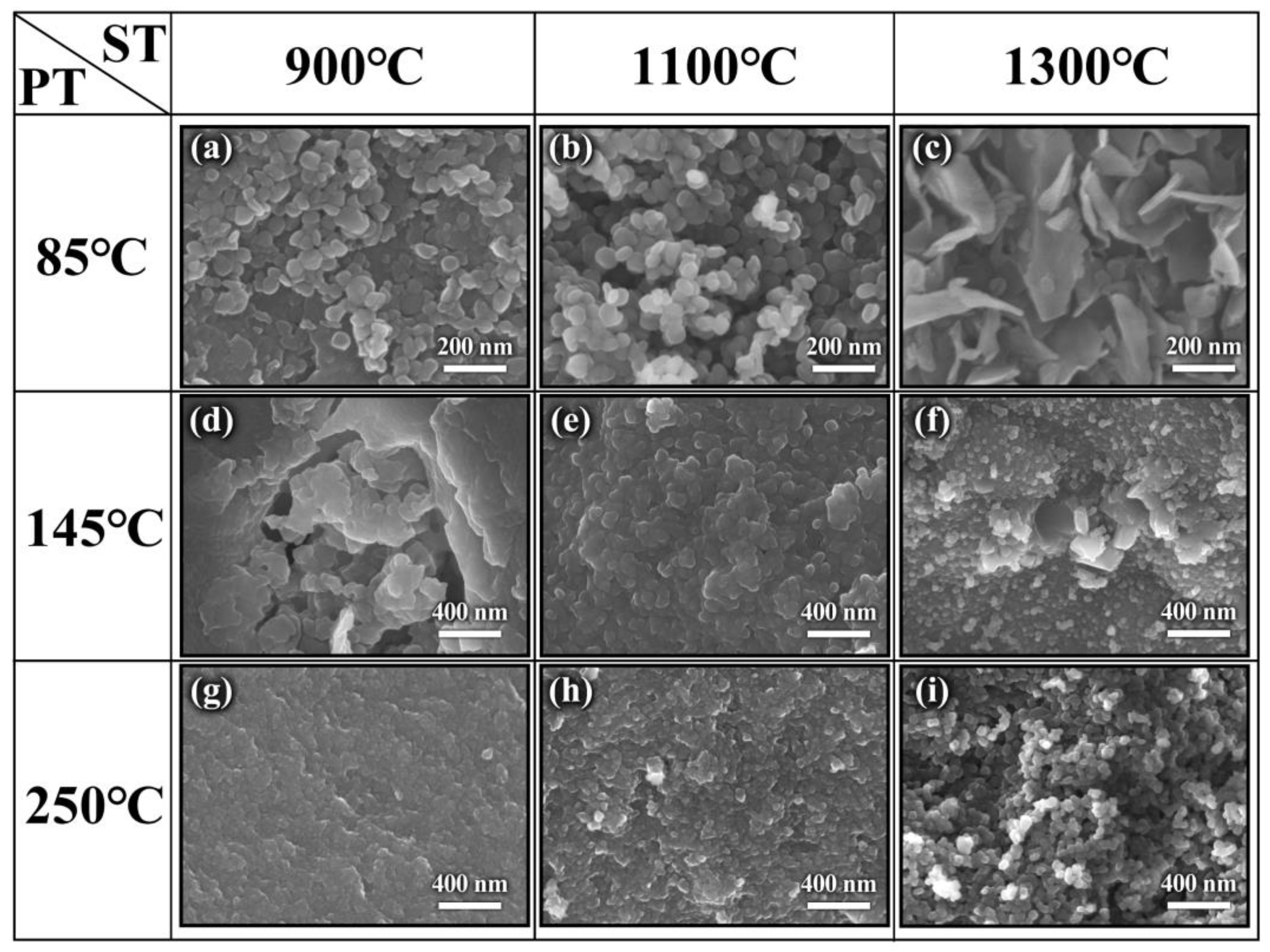 Molecules 29 03458 g005