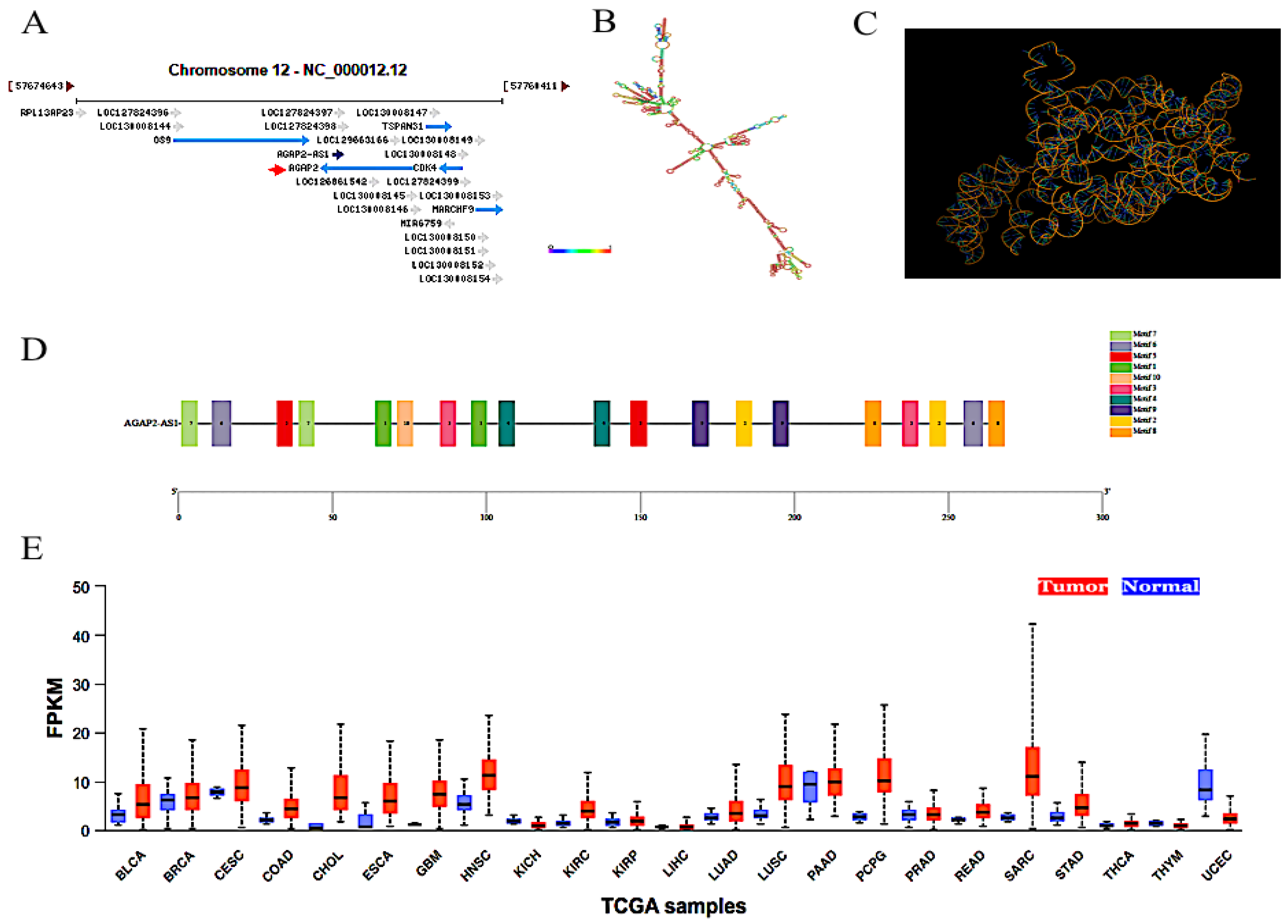 Molecules 29 03461 g001