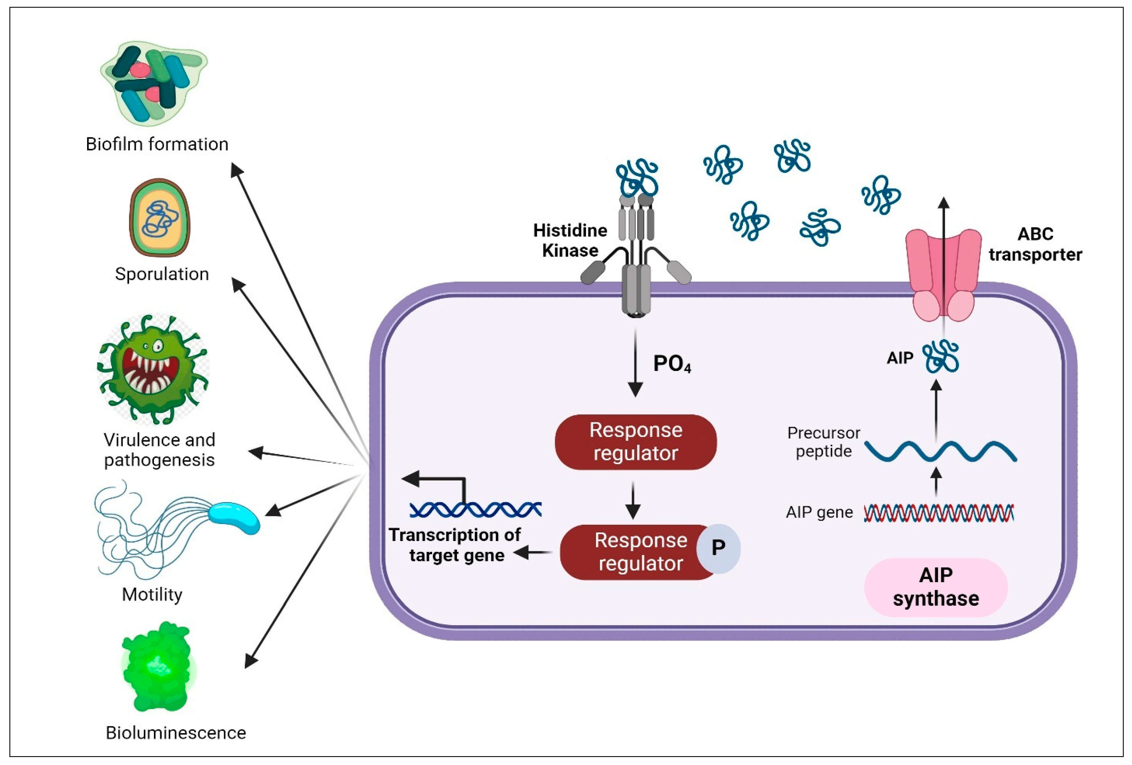 Molecules 29 03466 g002 Molecules 29 03466 g002