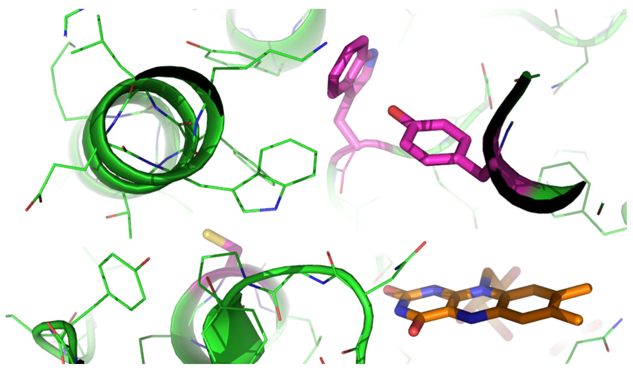 Molecules 29 03474 g001