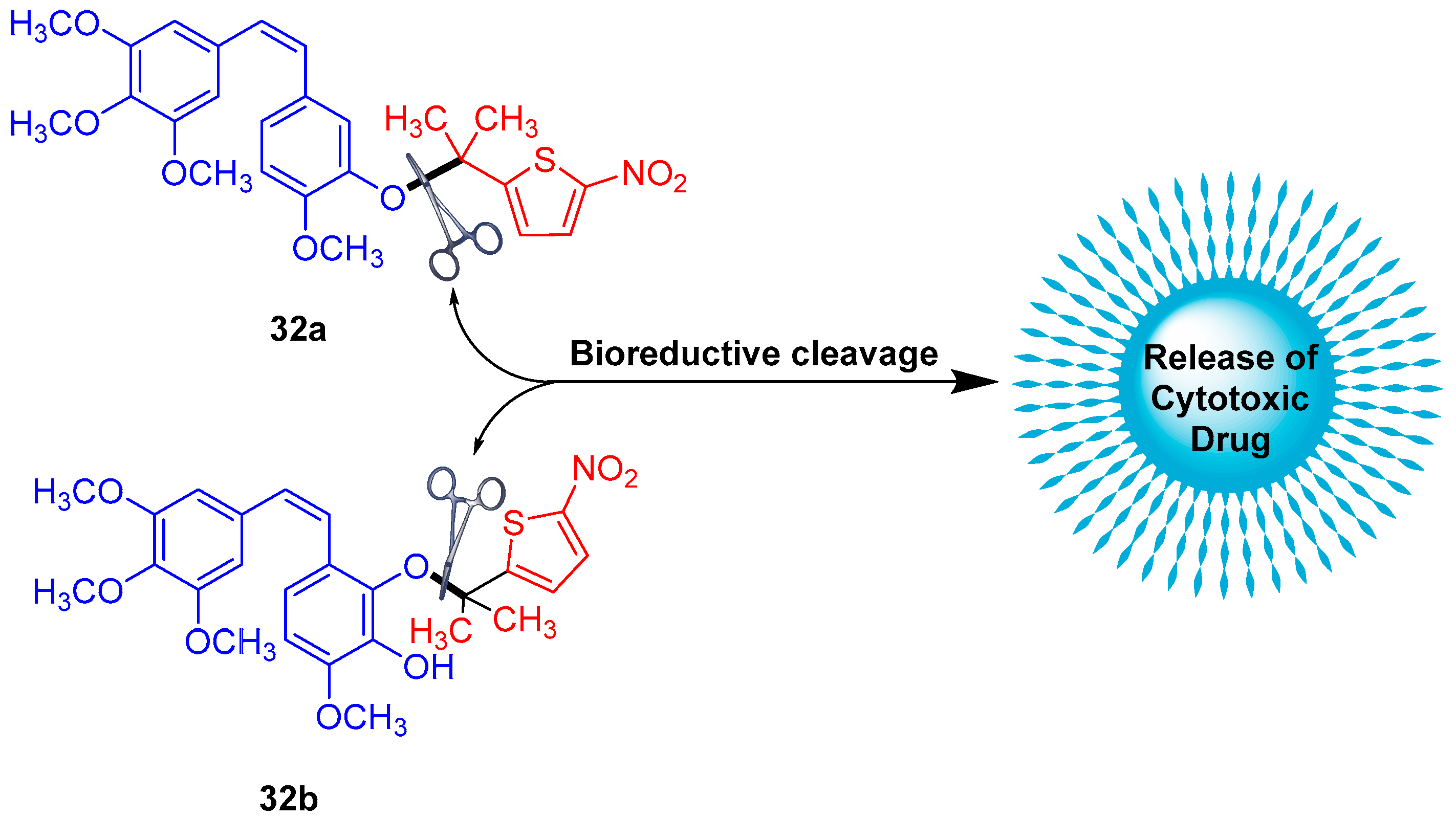 Molecules 29 03475 g015