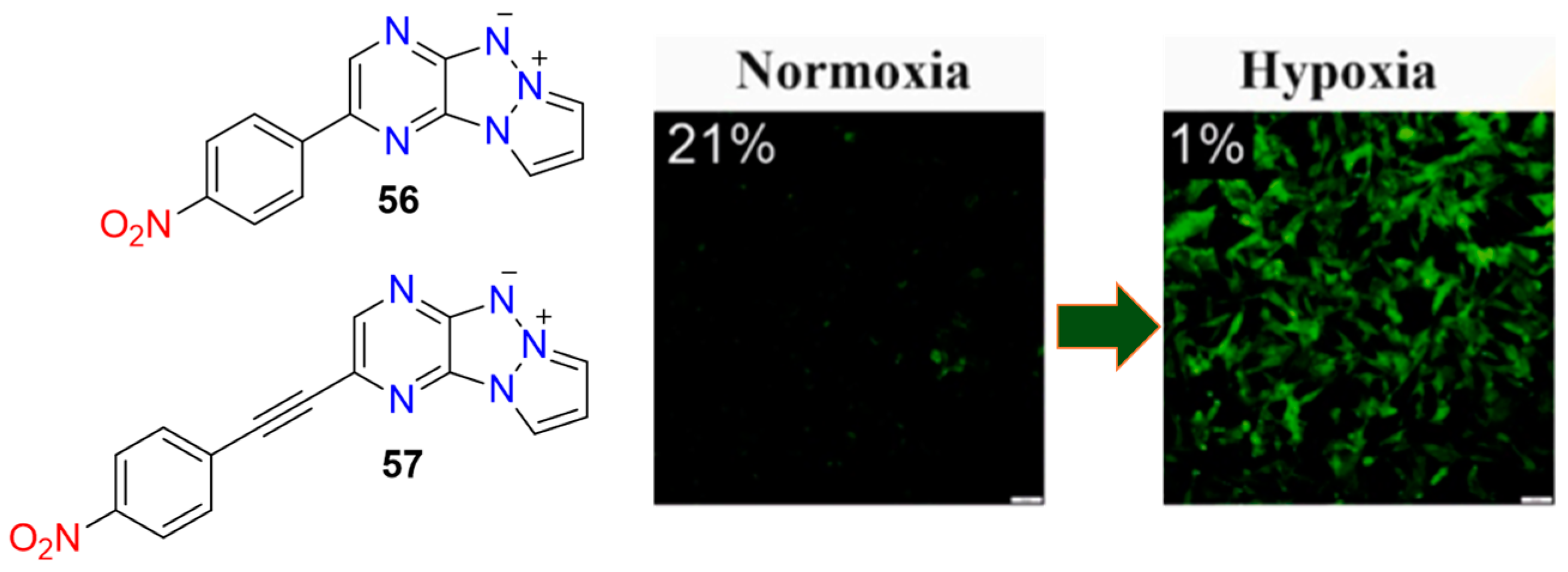 Molecules 29 03475 g022