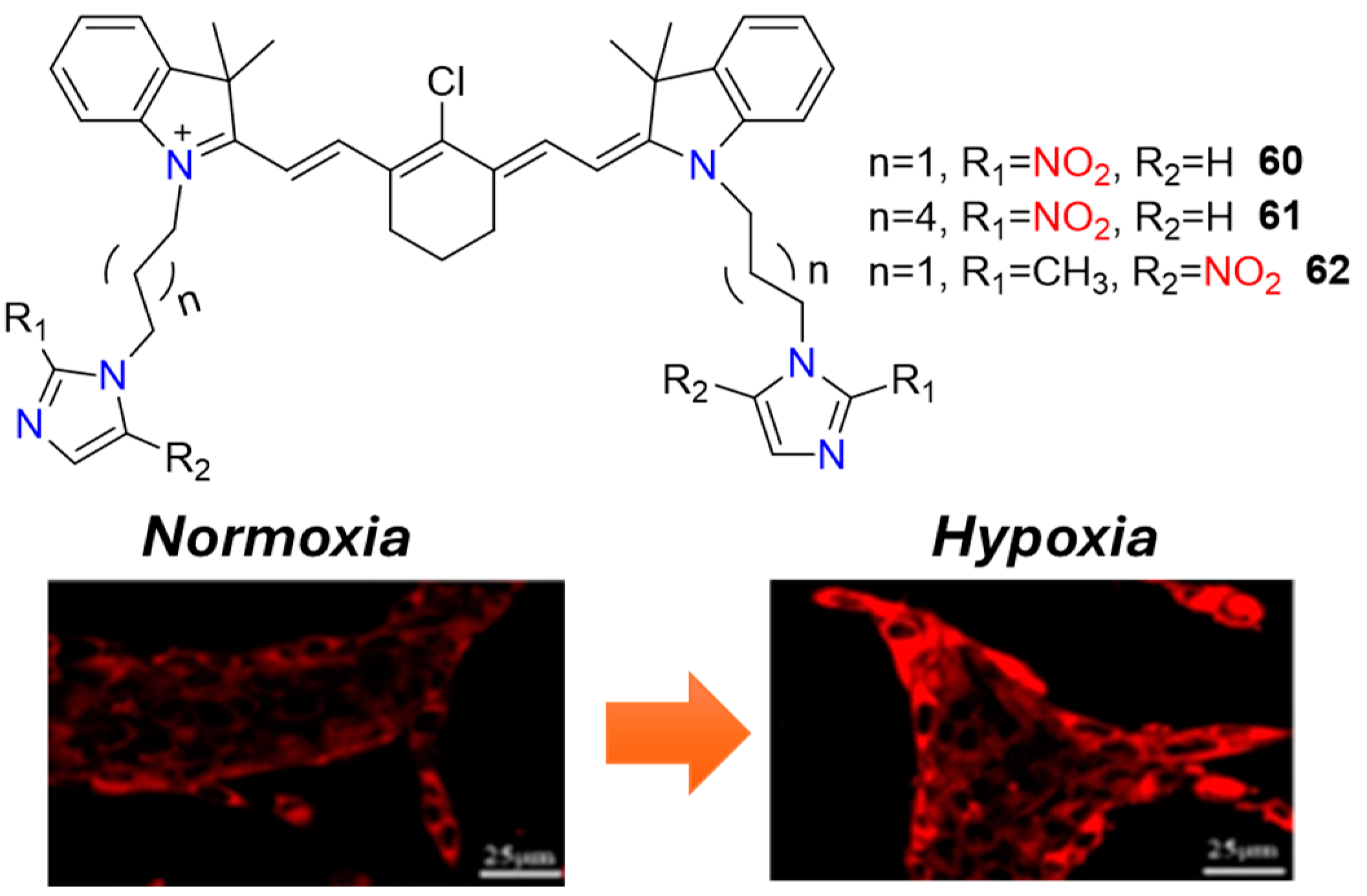 Molecules 29 03475 g025