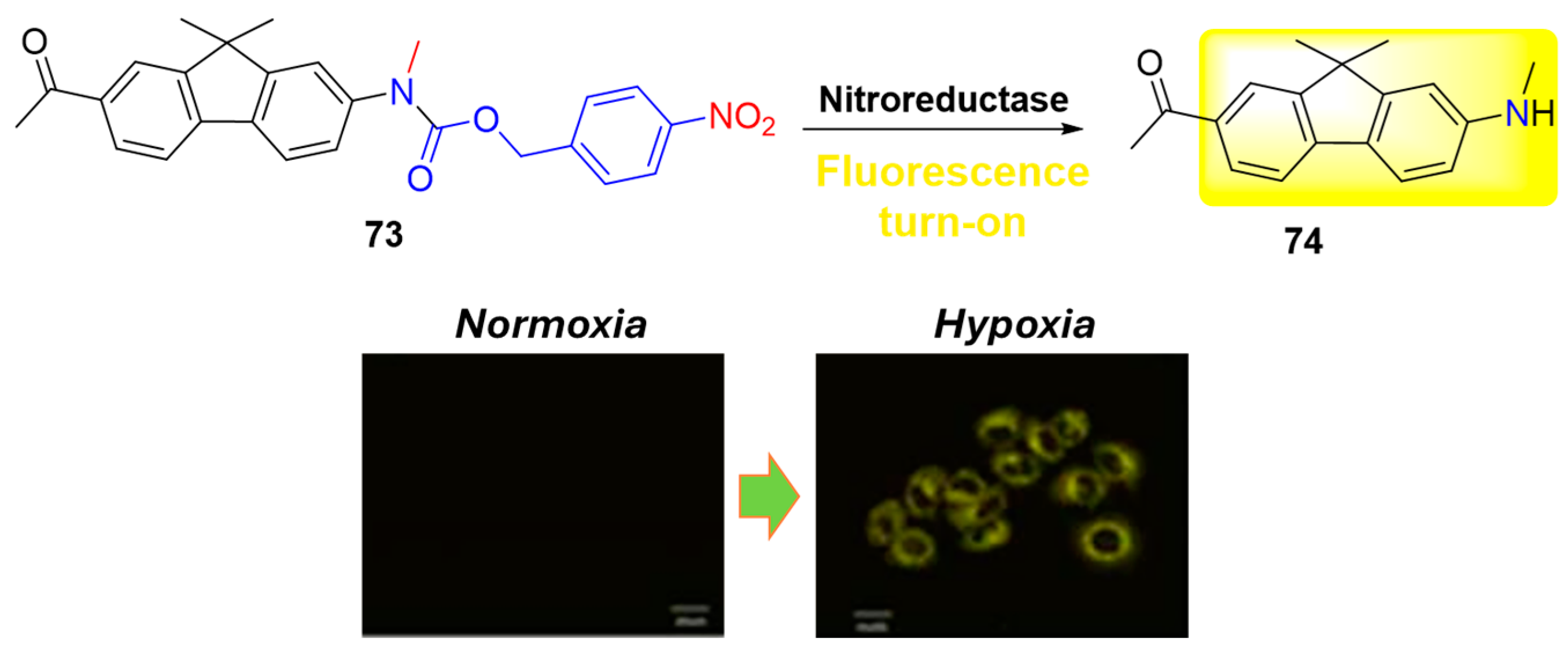 Molecules 29 03475 g033