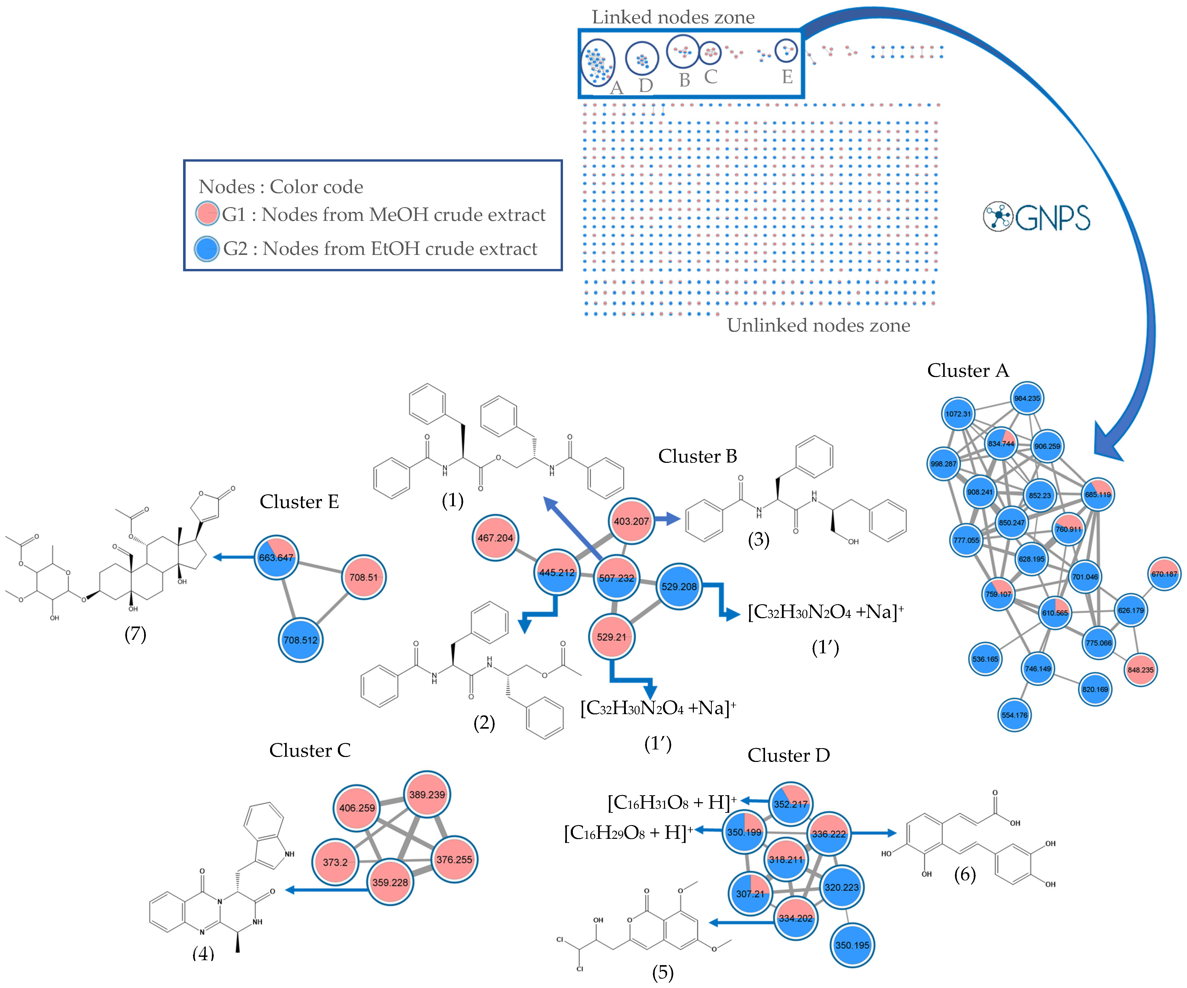 Molecules 29 03503 g002a