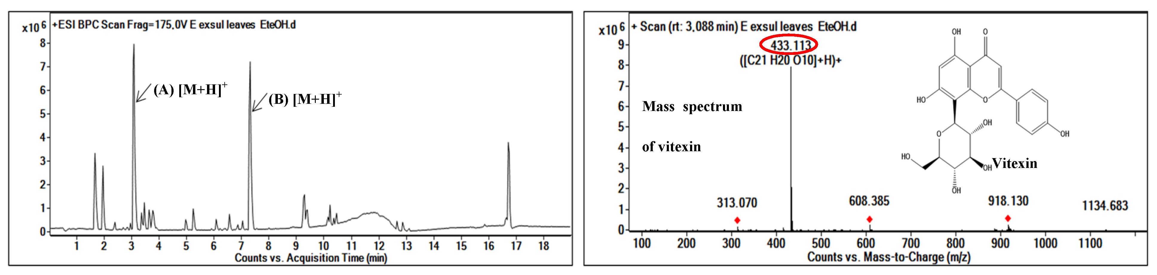 Molecules 29 03503 g003