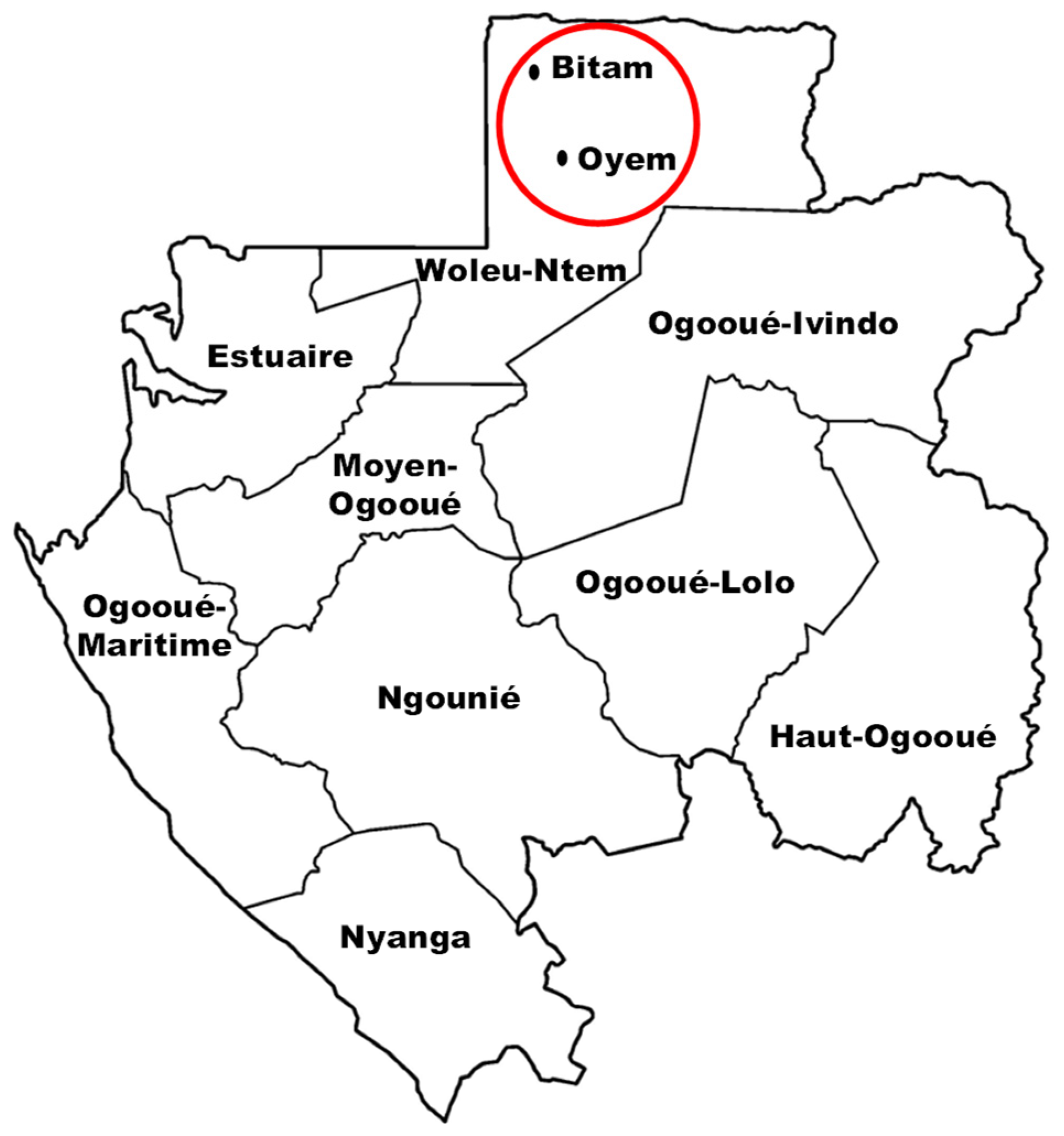 Molecules 29 03503 g005