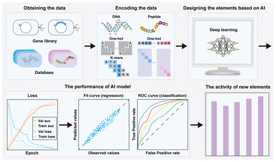 Ai AI-Enabled Intelligent Visible Light Communications