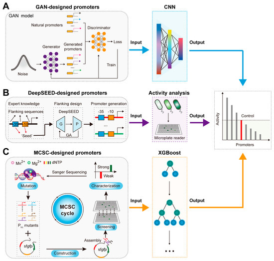 Ai AI-Assisted Rational Design and Activity Prediction of