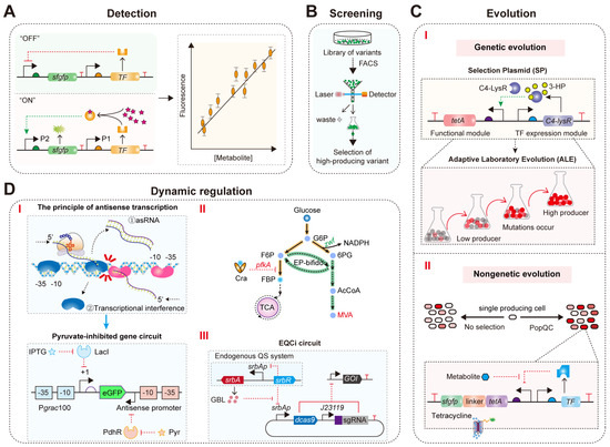 AI-Assisted Rational Design and Activity Prediction of