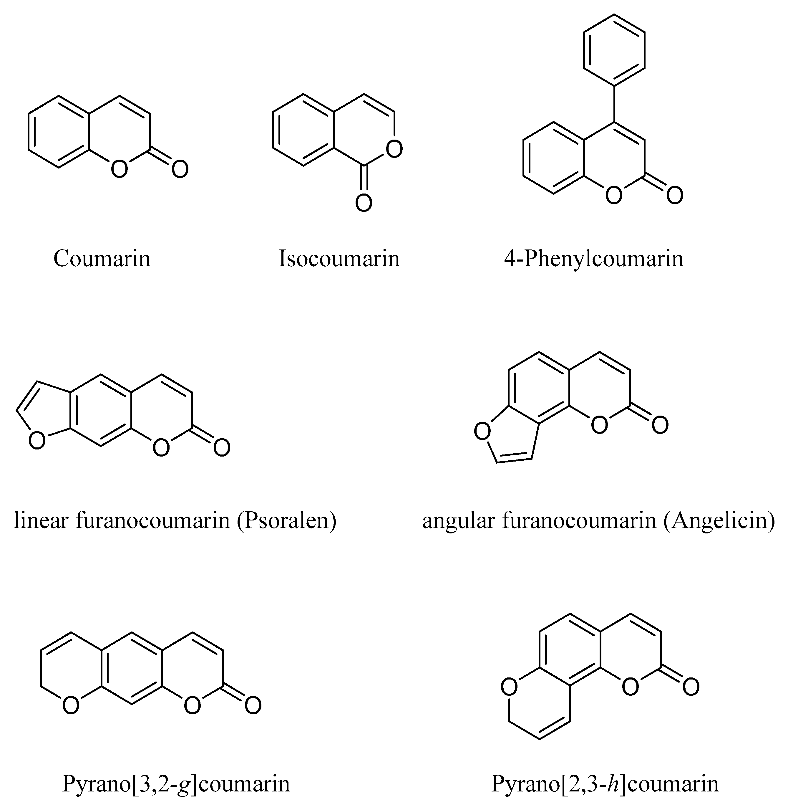 Molecules 29 03514 g001