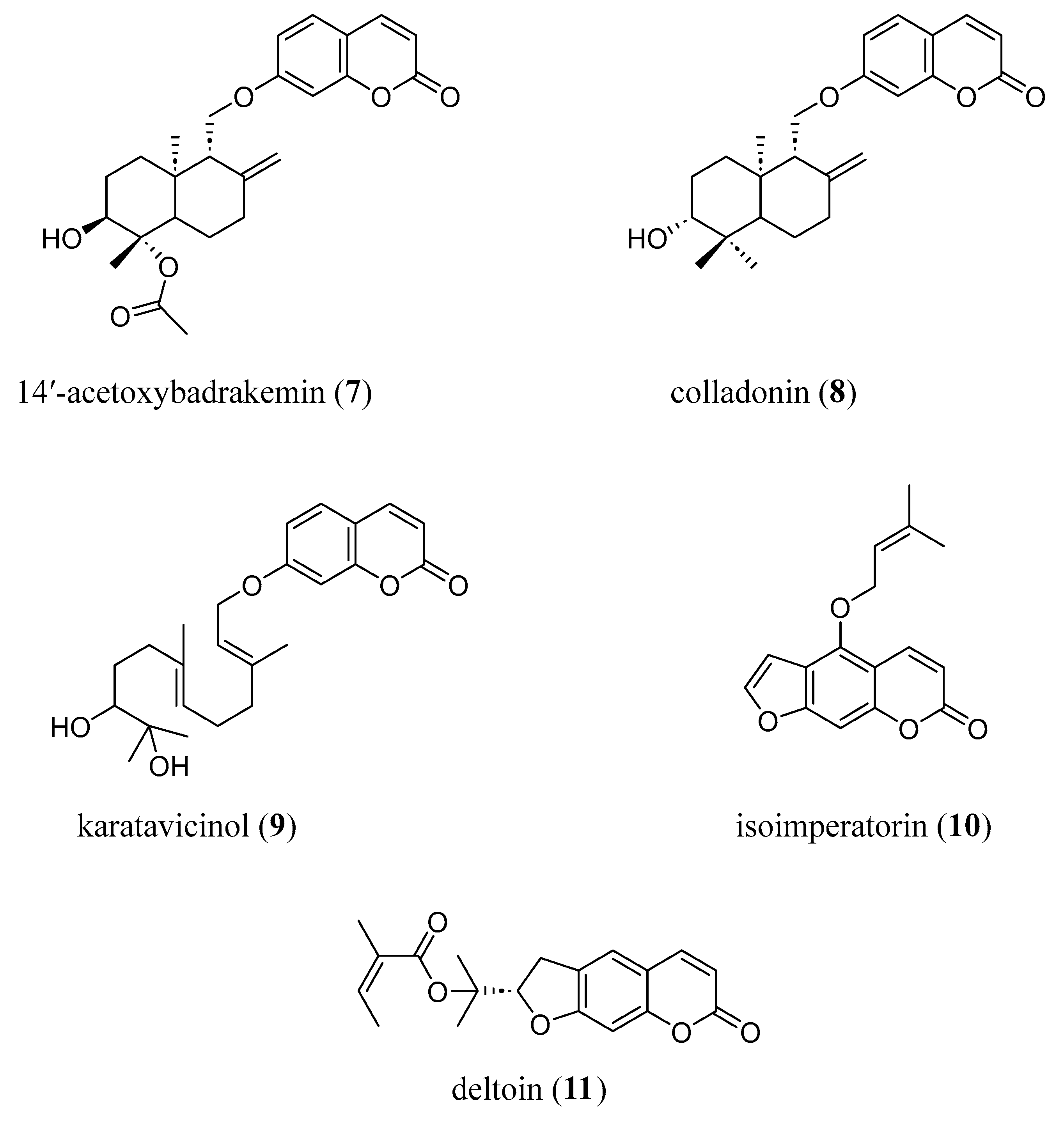 Molecules 29 03514 g004