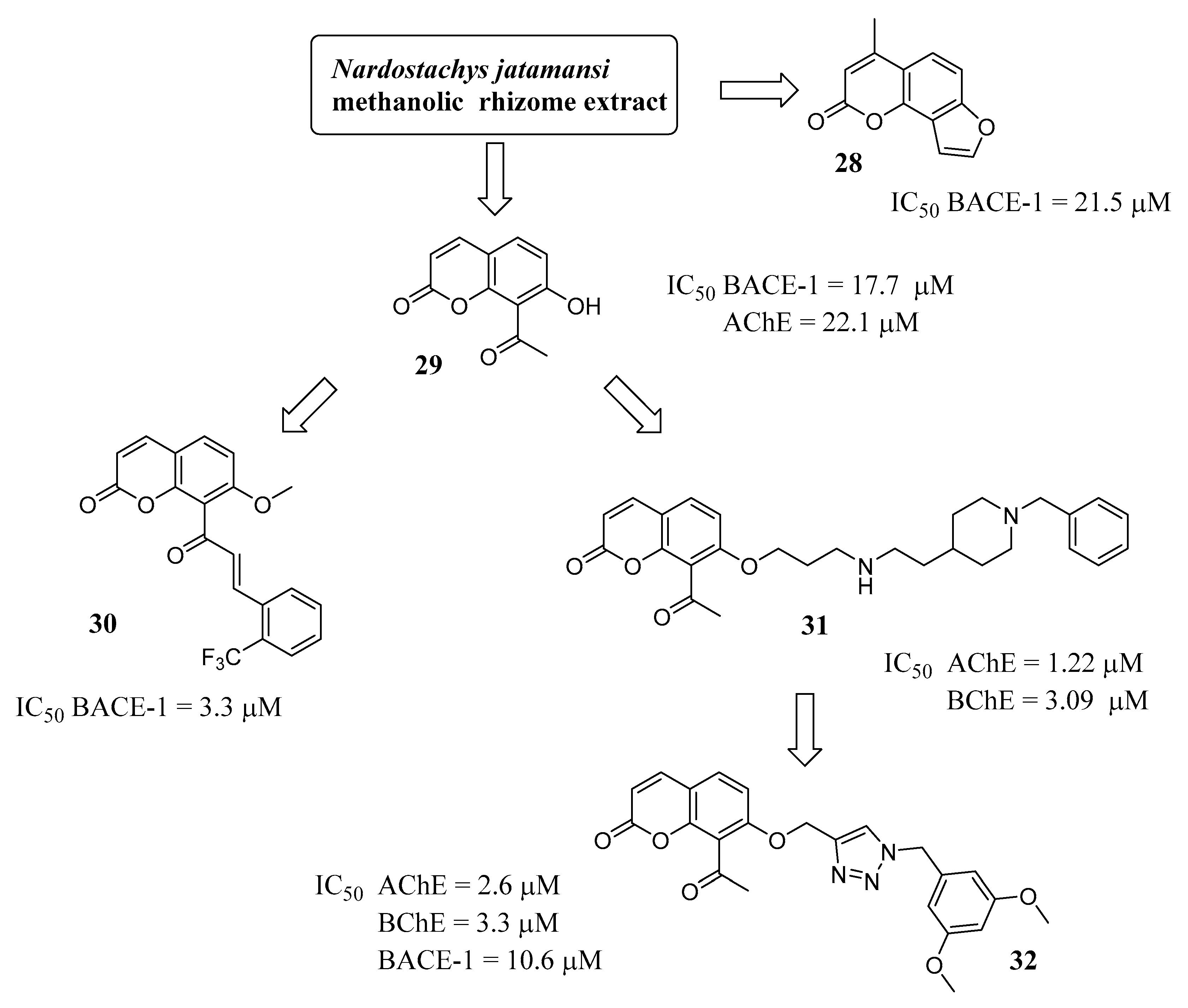 Molecules 29 03514 g012