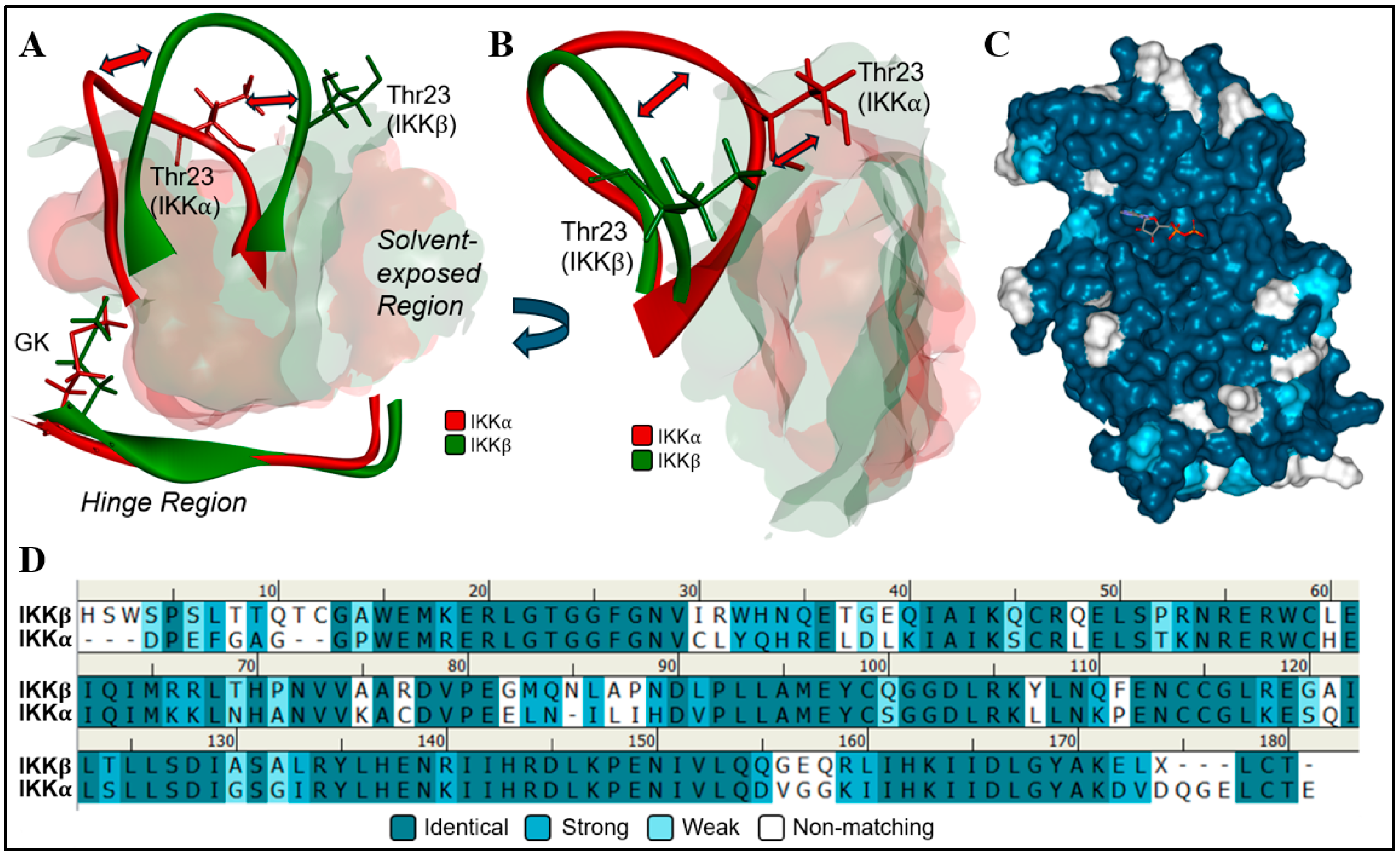 Molecules 29 03515 g001