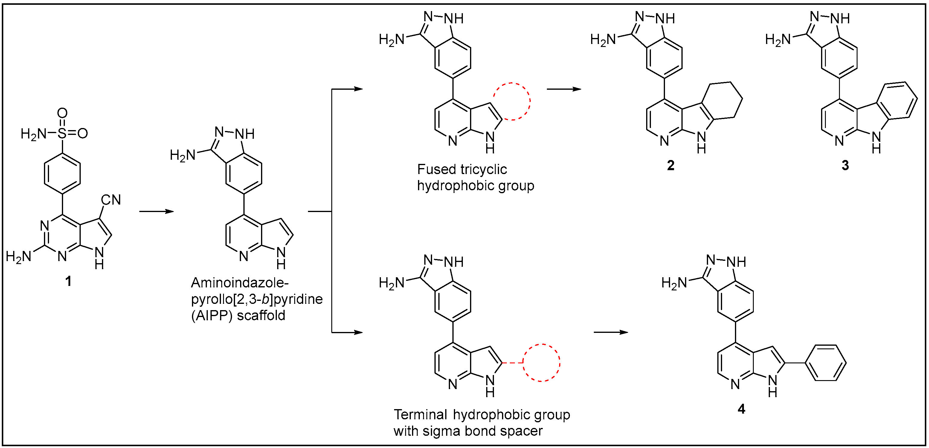 Molecules 29 03515 g003