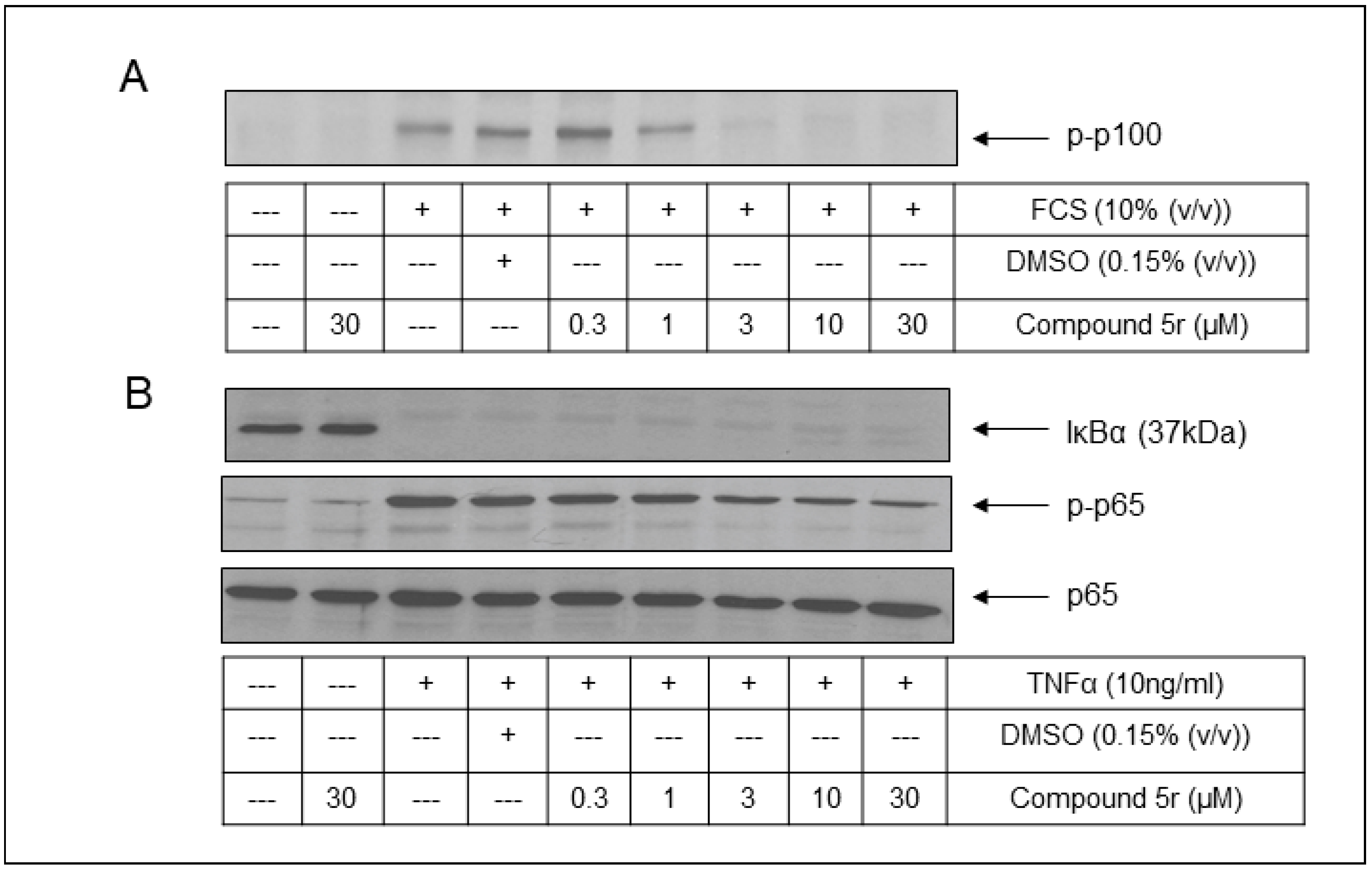 Molecules 29 03515 g011