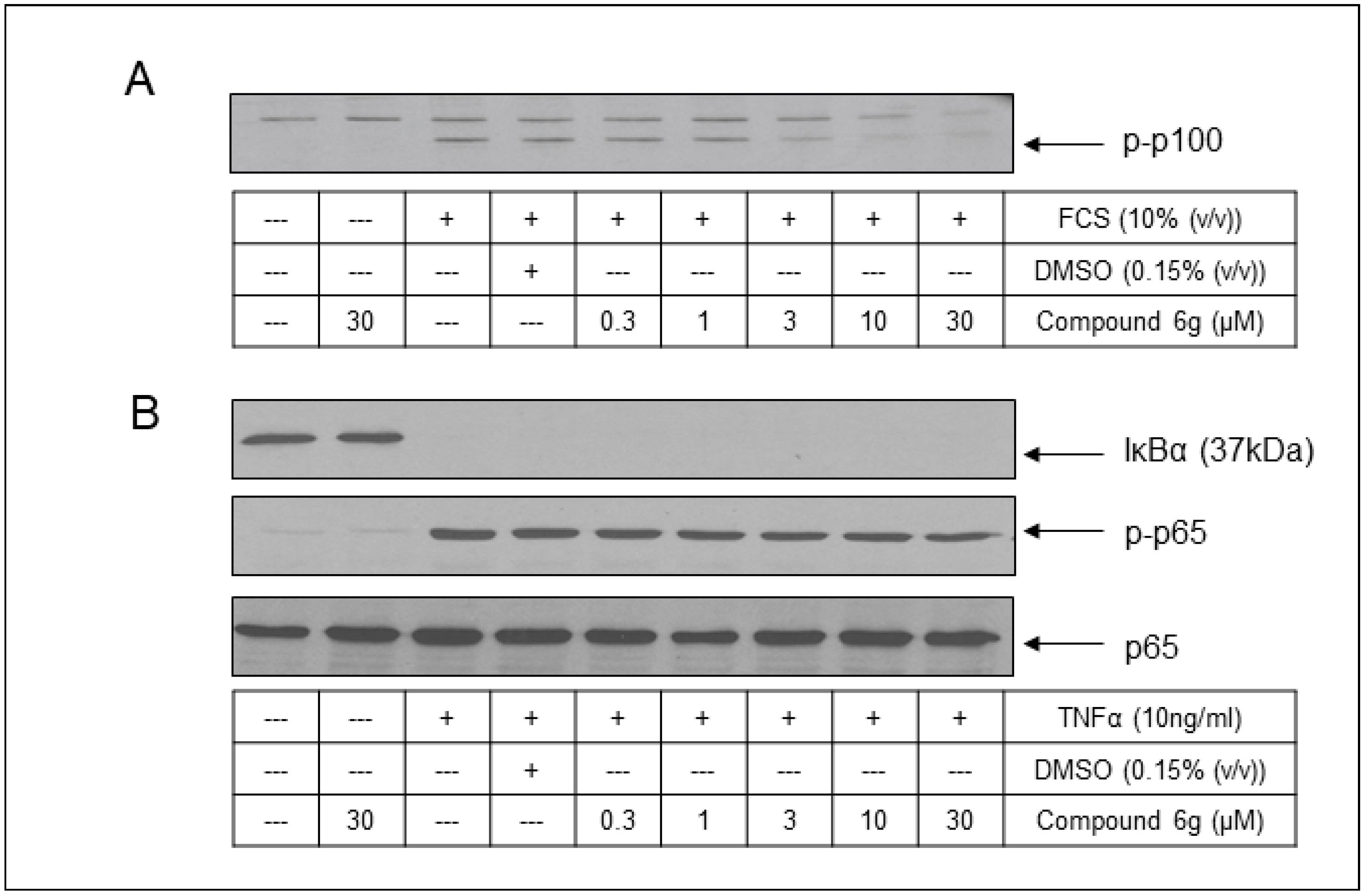 Molecules 29 03515 g012