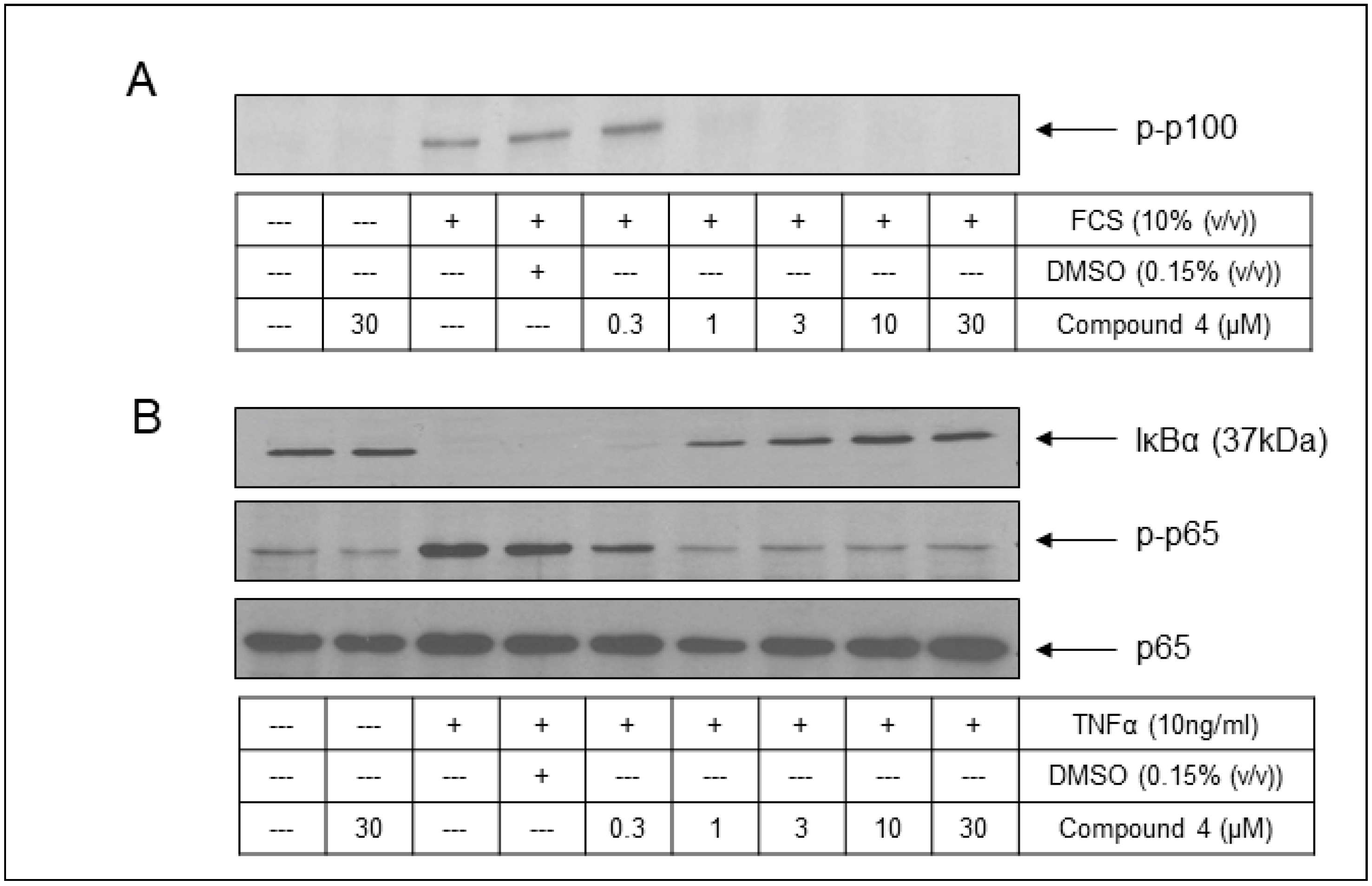 Molecules 29 03515 g013