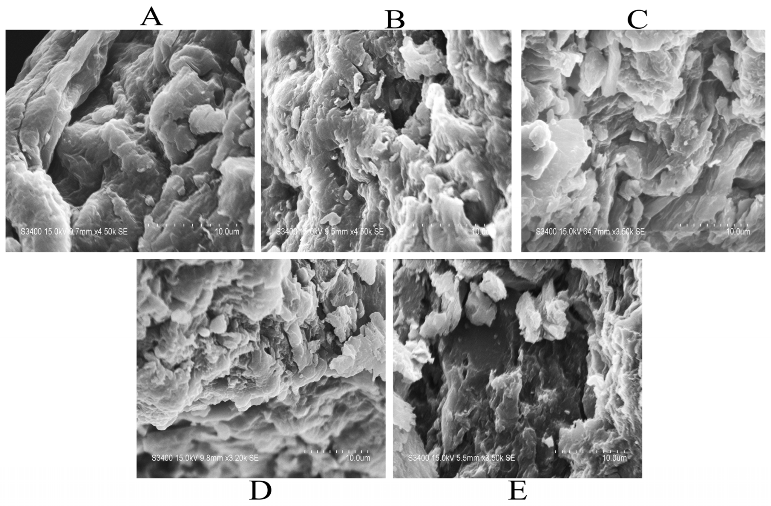 Molecules 29 03519 g004
