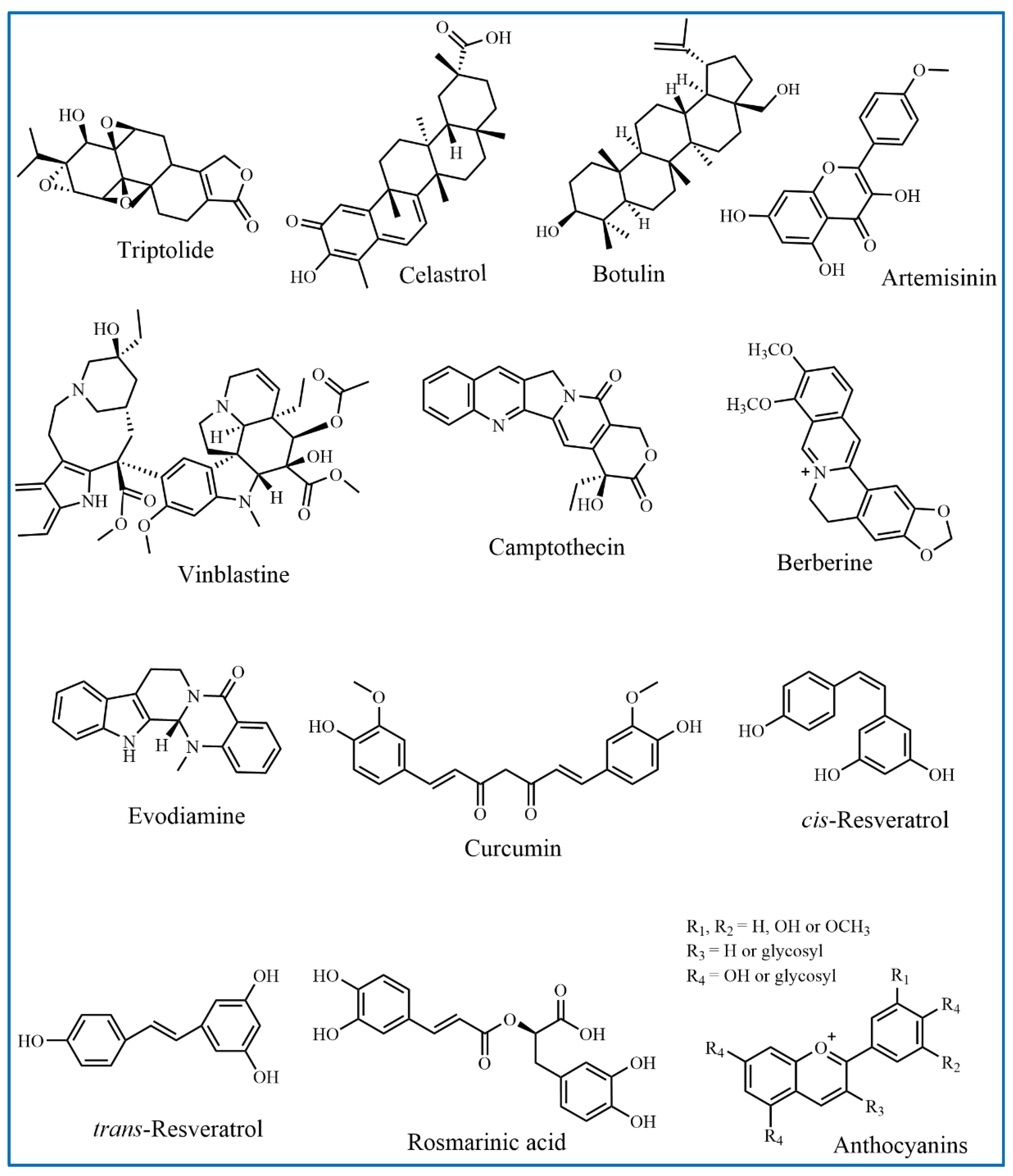 Molecules 29 03520 g001