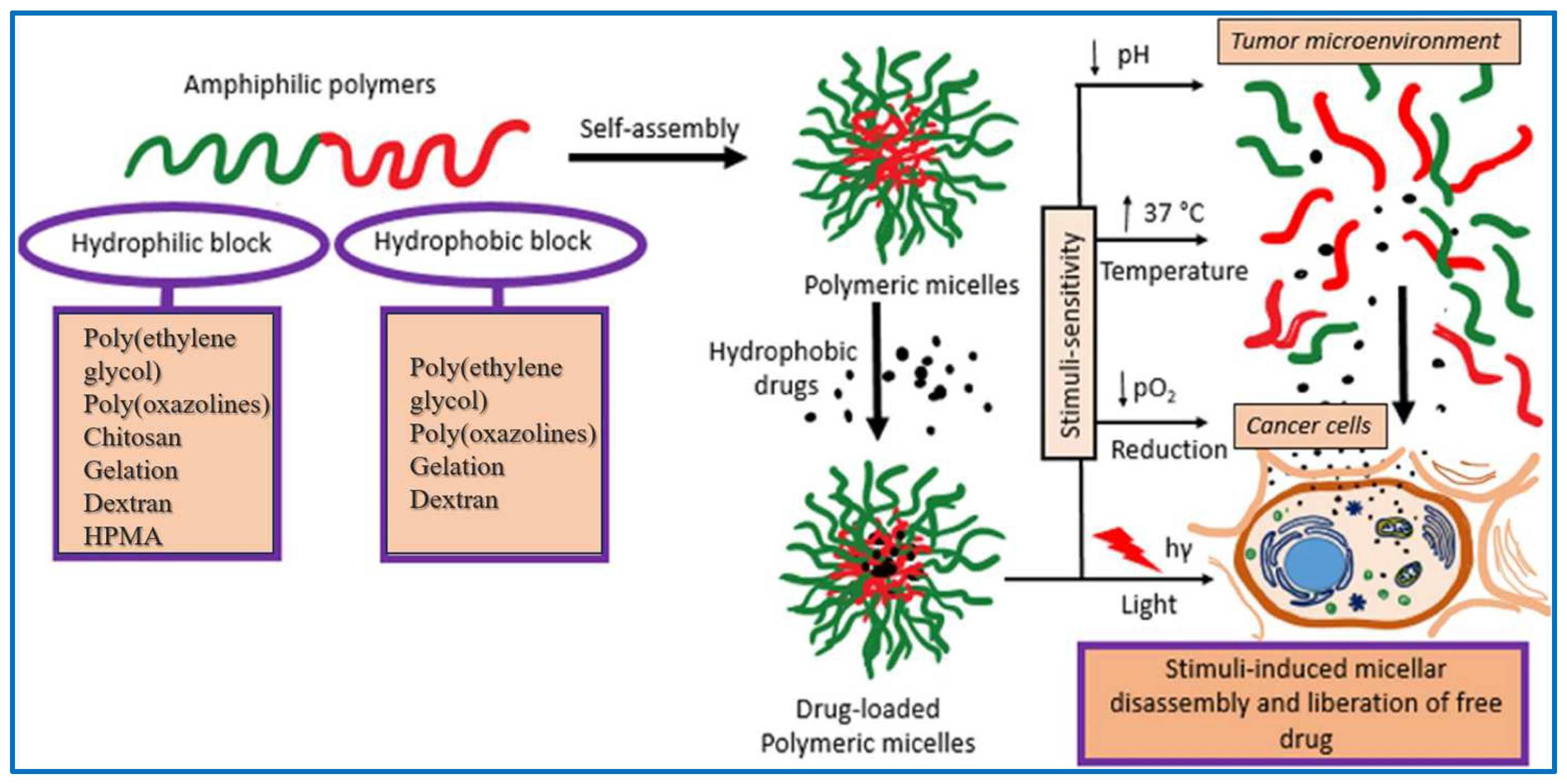 Molecules 29 03520 g003