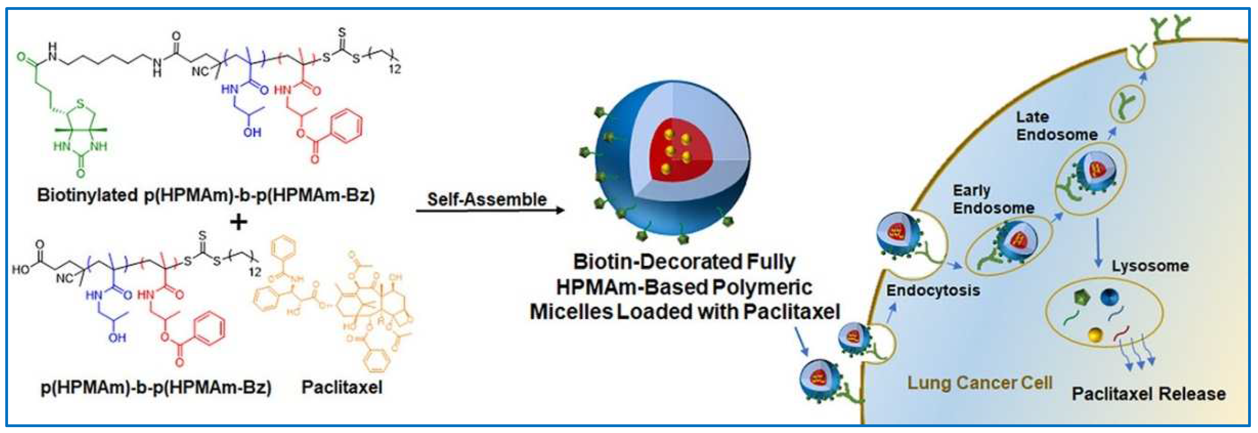 Molecules 29 03520 g004