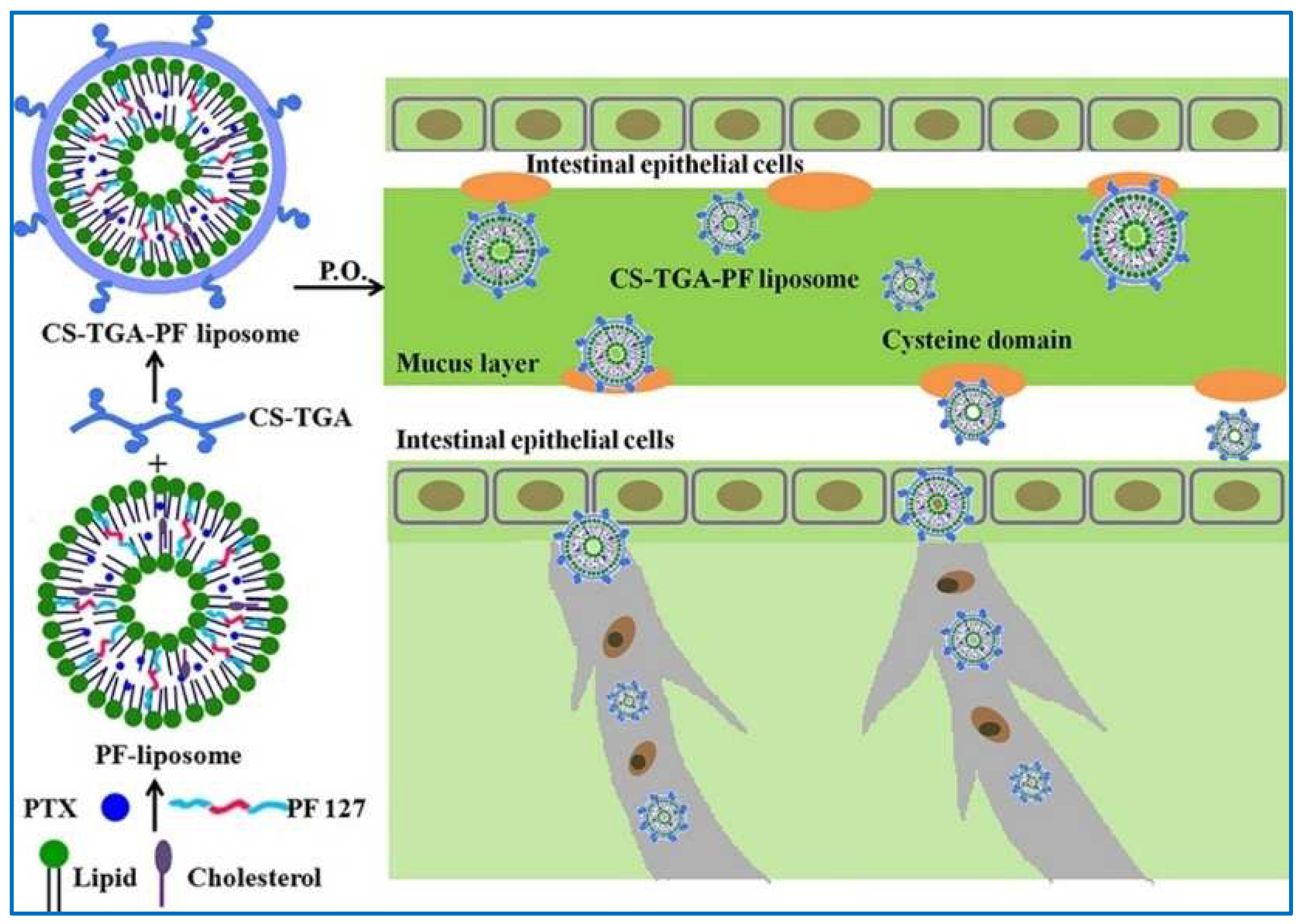 Molecules 29 03520 g006