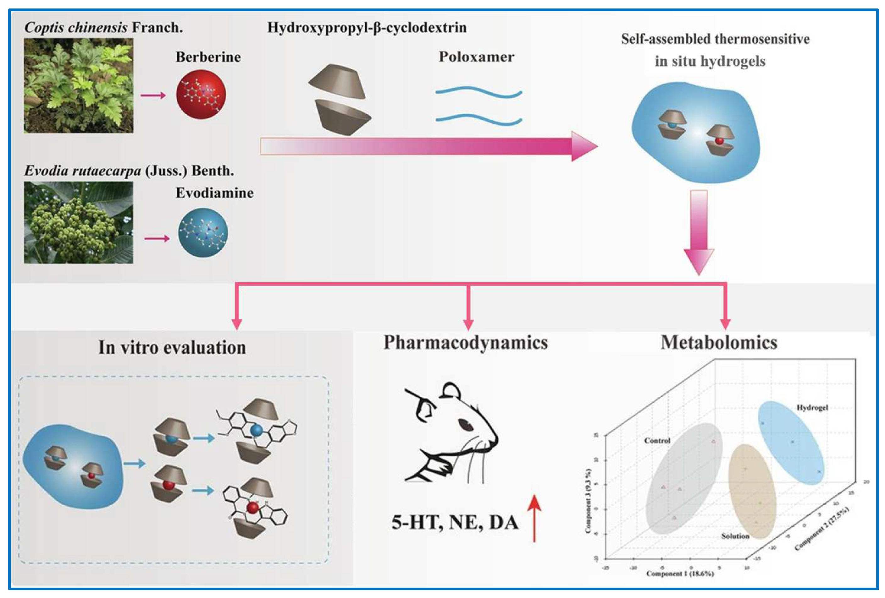 Molecules 29 03520 g007