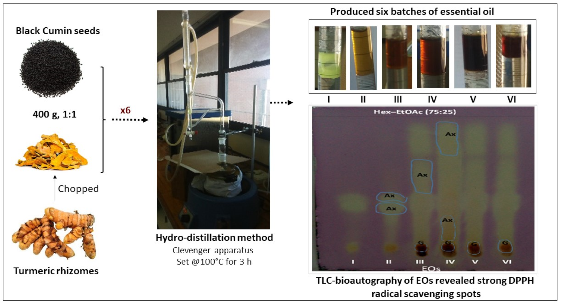 Molecules 29 03523 g001
