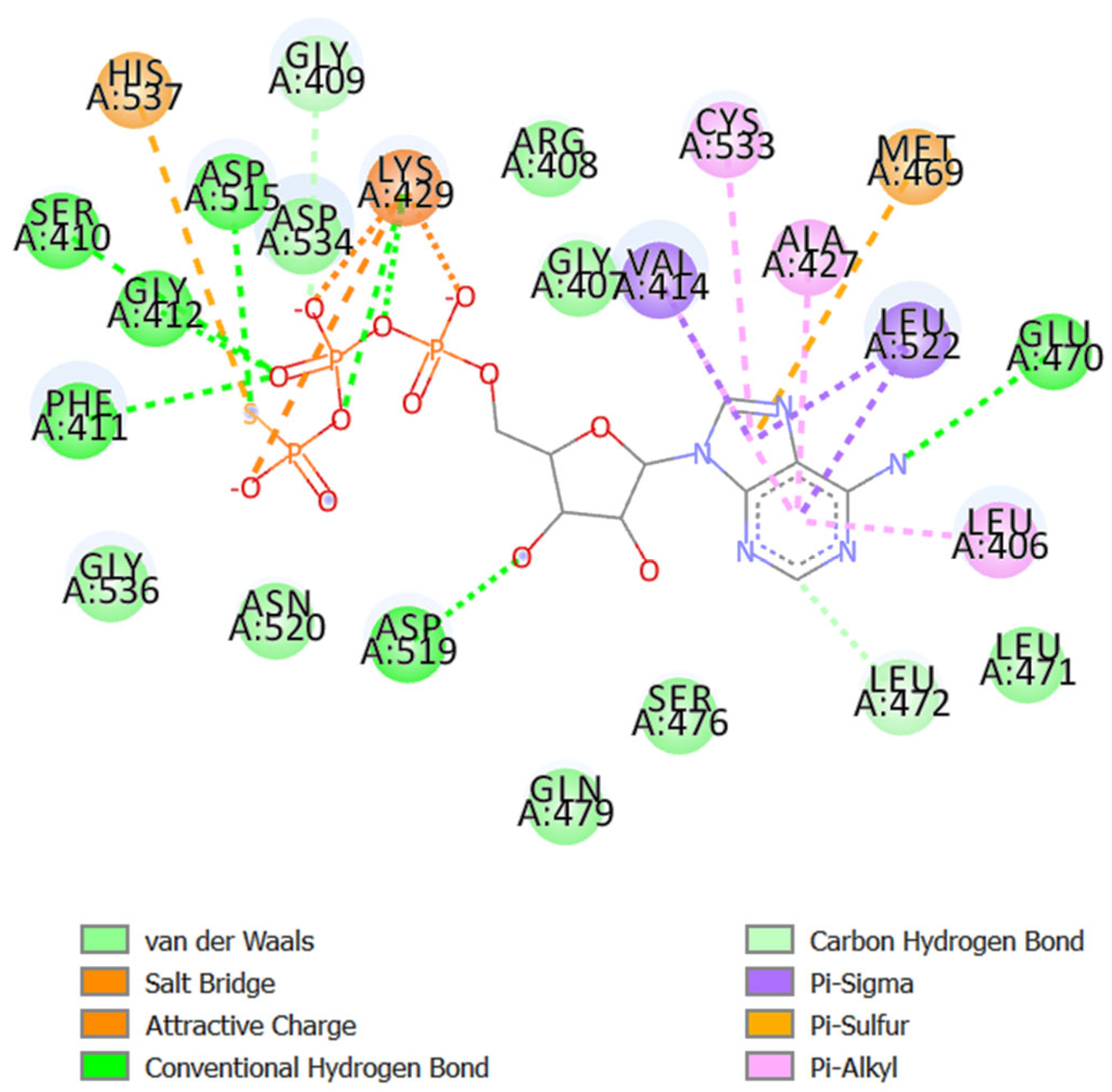 Molecules 29 03523 g006
